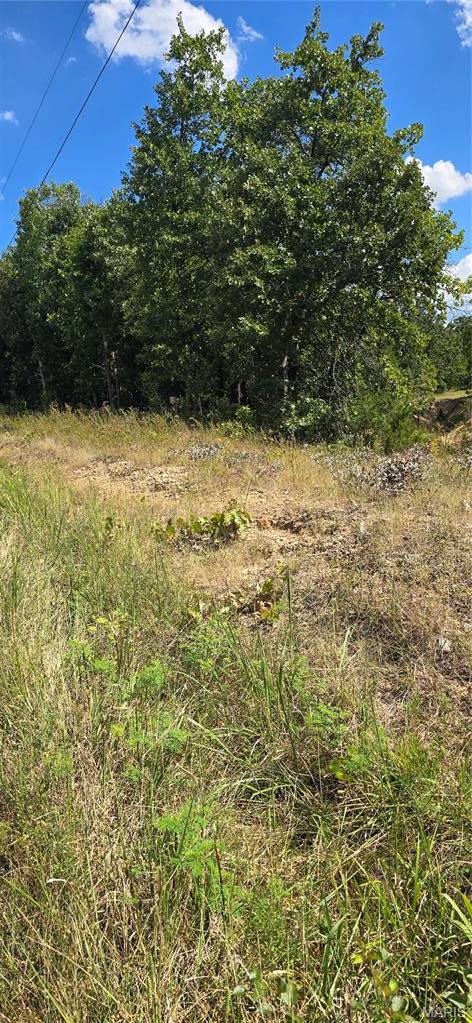 11050 County Road 2220, Rolla, MO 65401
