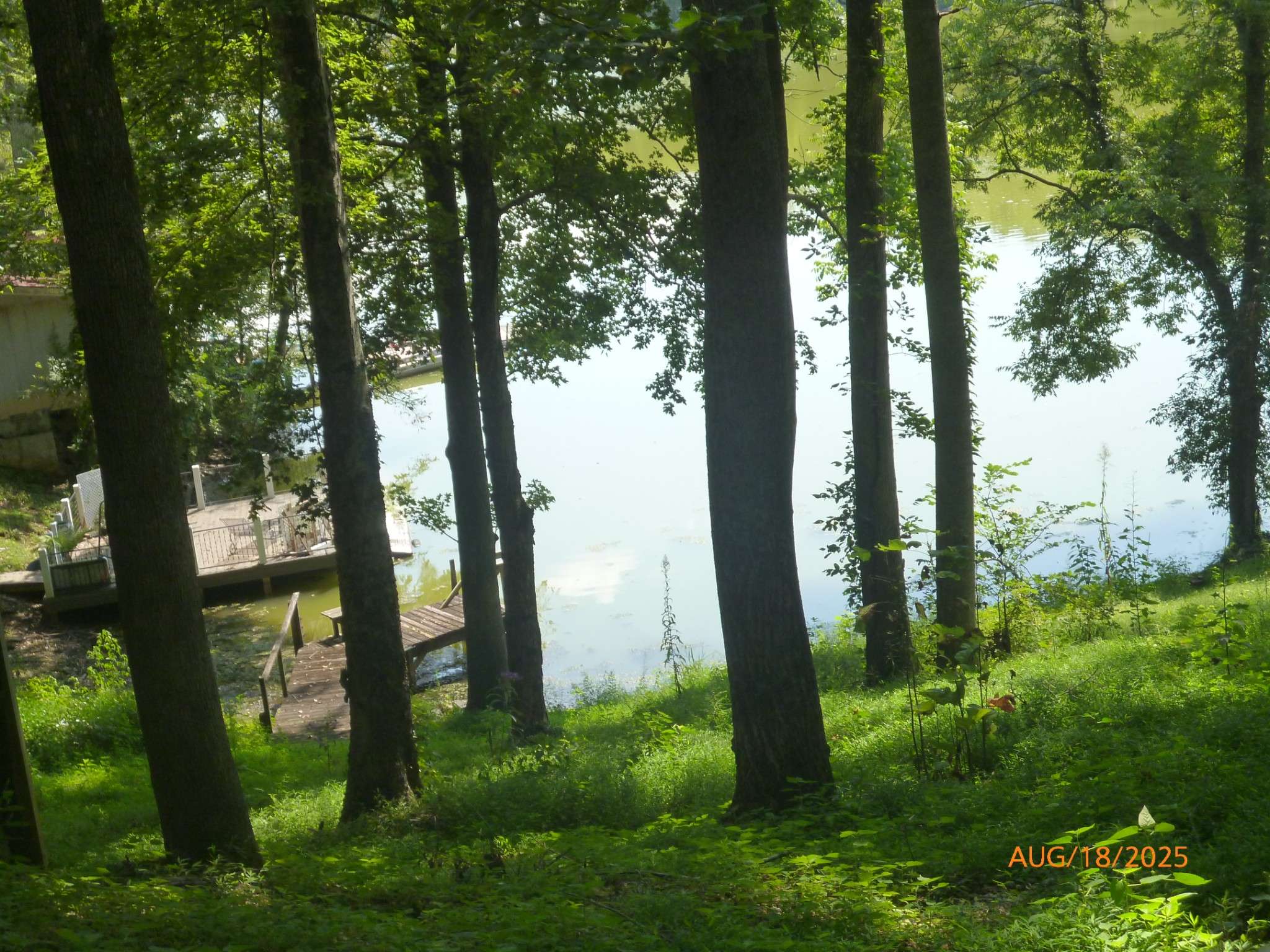 477 Lake Logan Rd, Ardmore, TN 38449