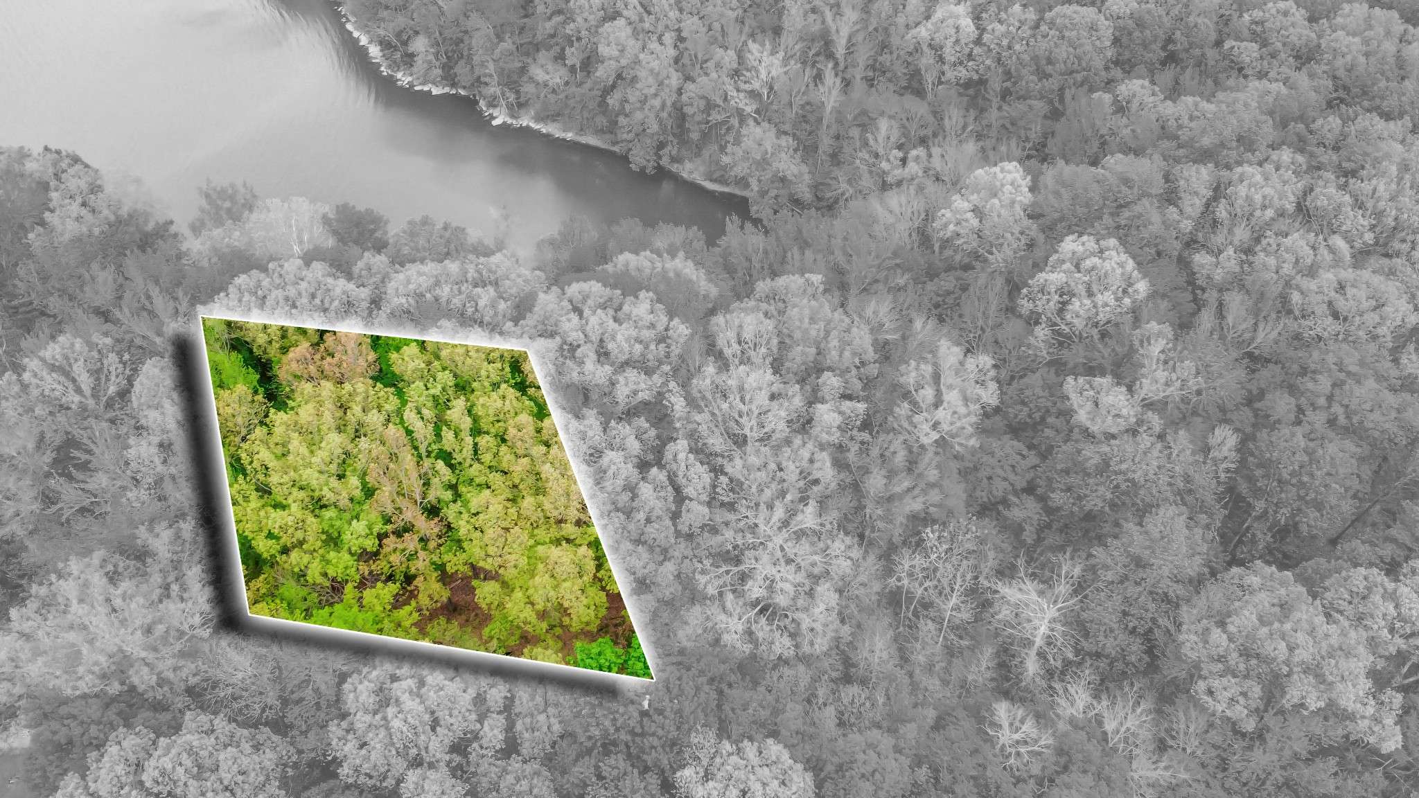 0 Waters Edge Lane, Bumpus Mills, TN 37028