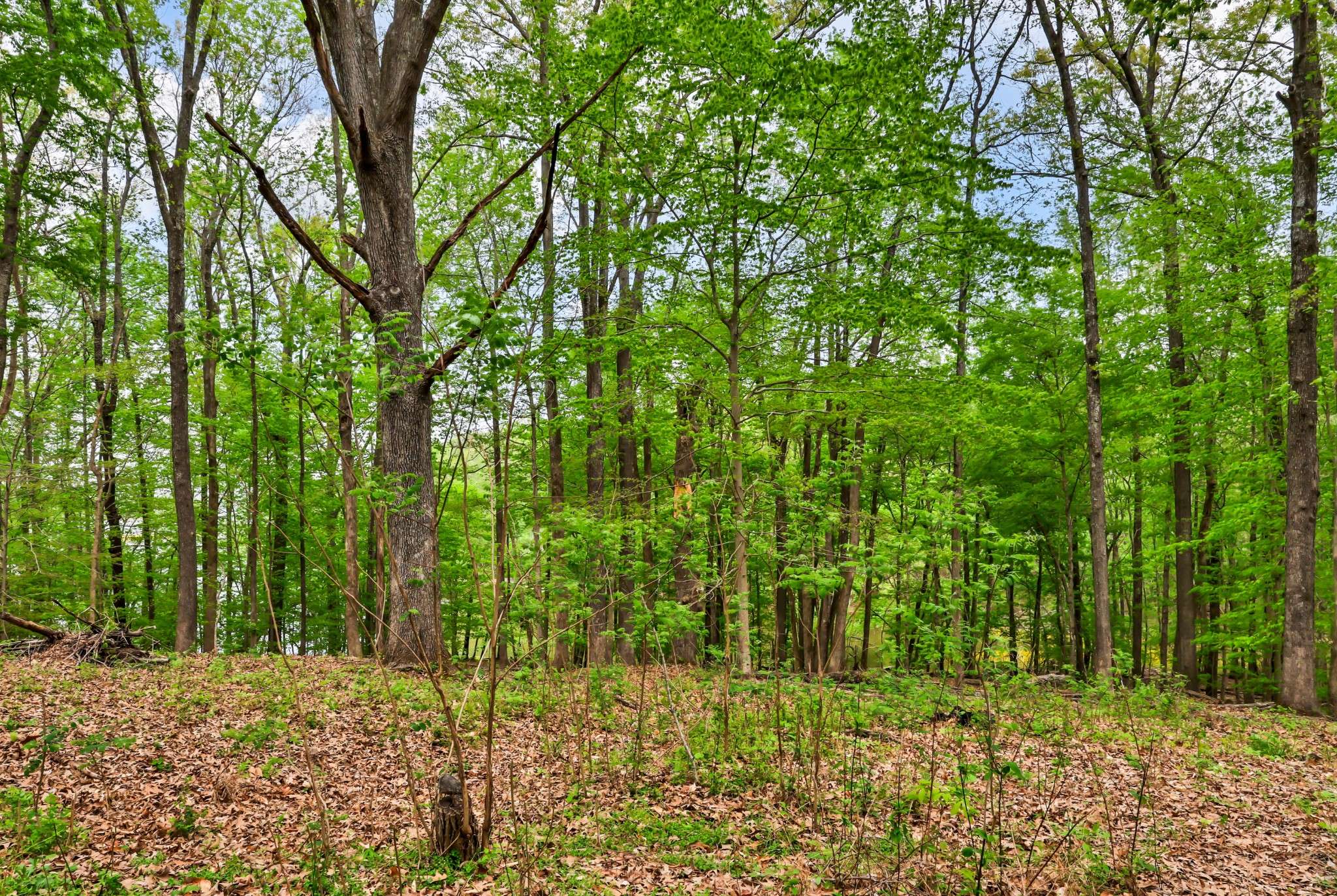 0 Waters Edge Lane, Bumpus Mills, TN 37028
