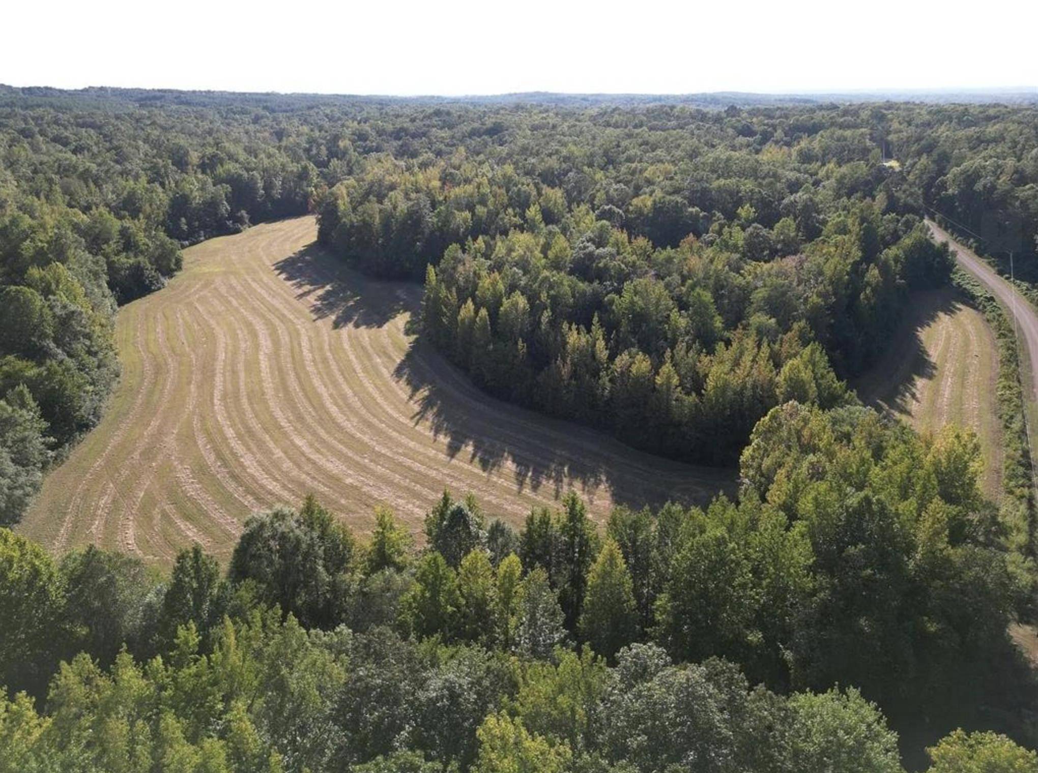 3085 FORREST HILL RD, Bolivar, TN 38008