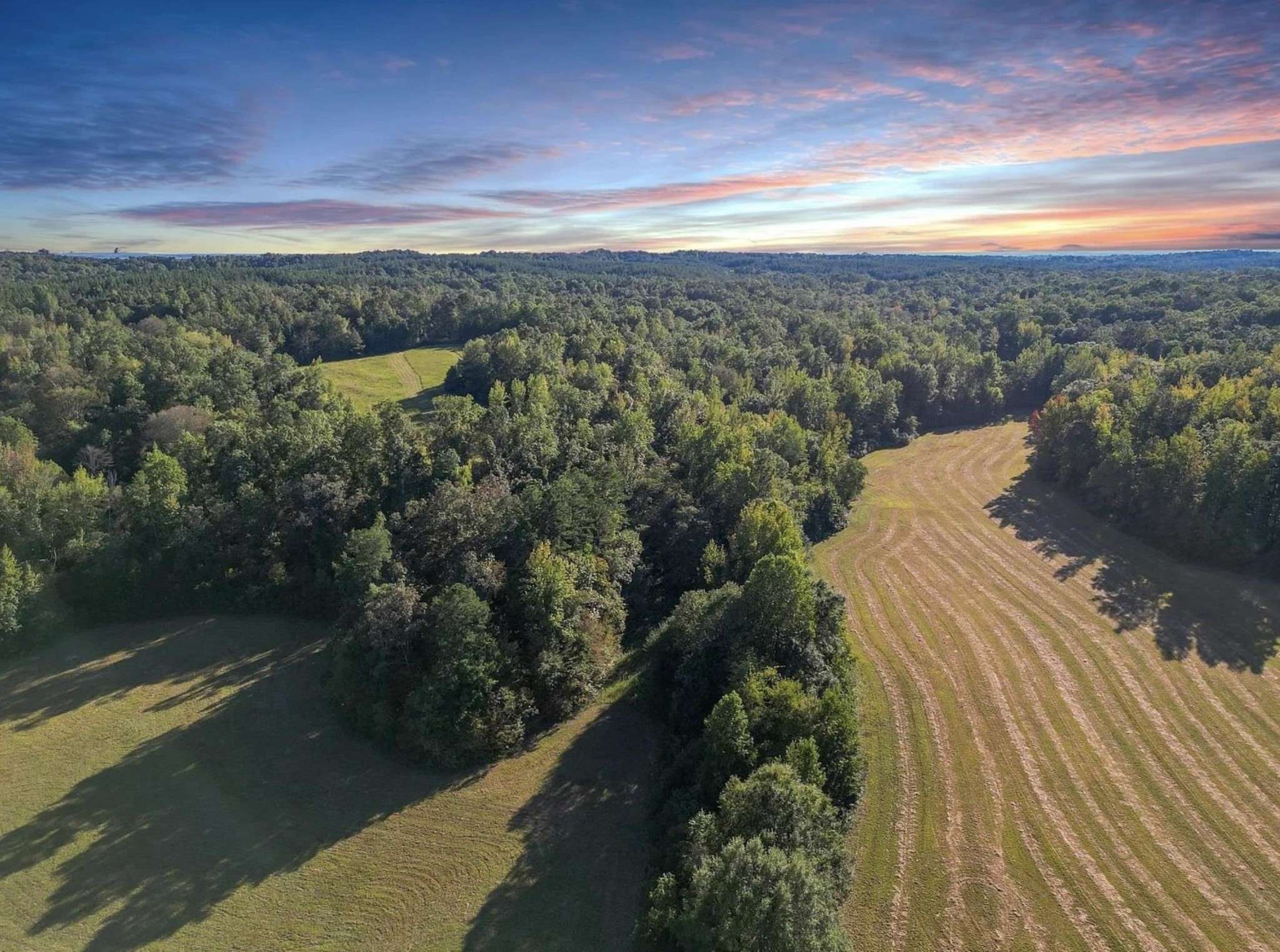 3085 FORREST HILL RD, Bolivar, TN 38008