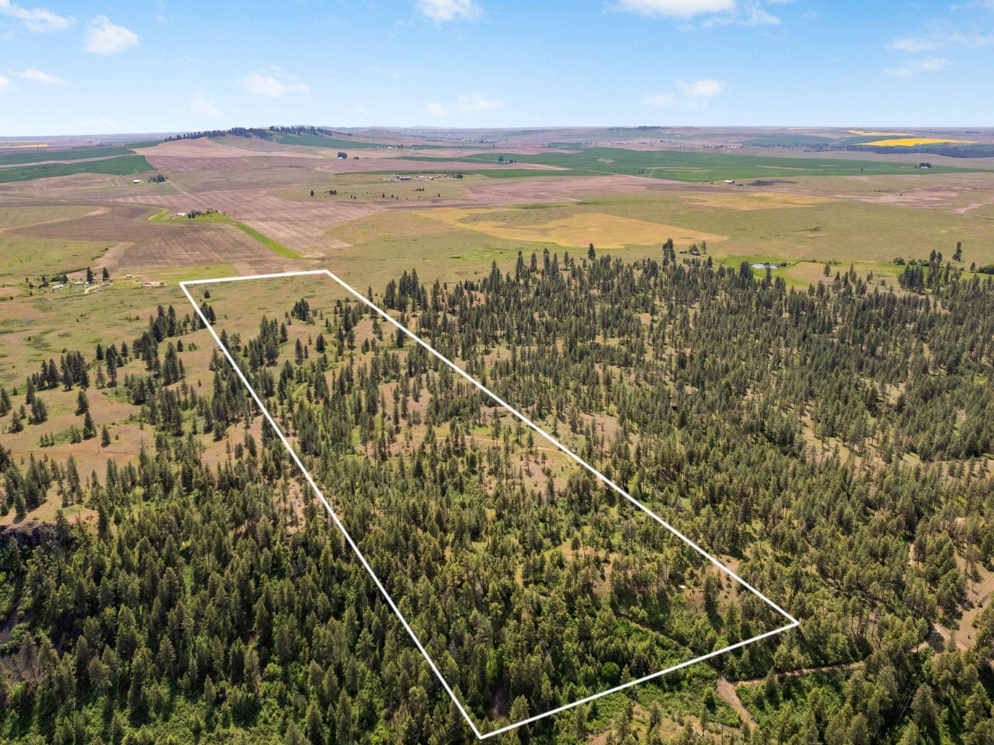 00 W Highland Rd off Coulee Hite Rd, Reardan, WA 99029