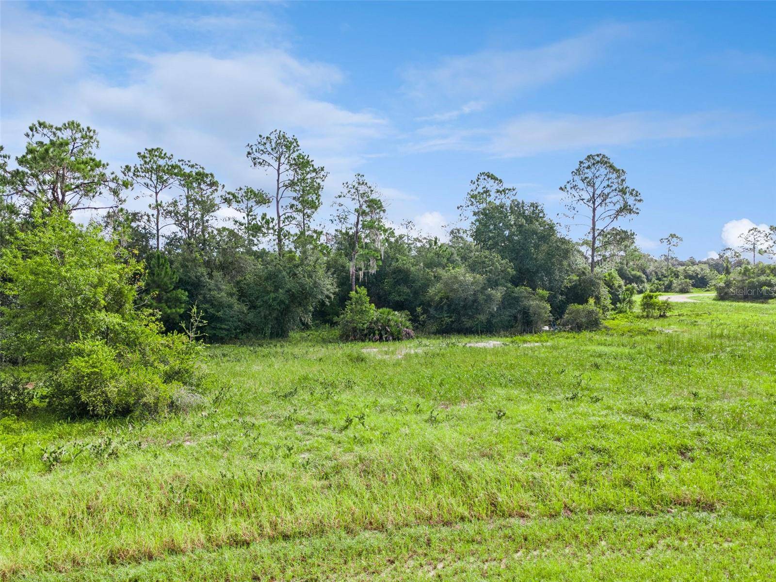 1319 HOMOSASSA CT, Poinciana, FL 34759