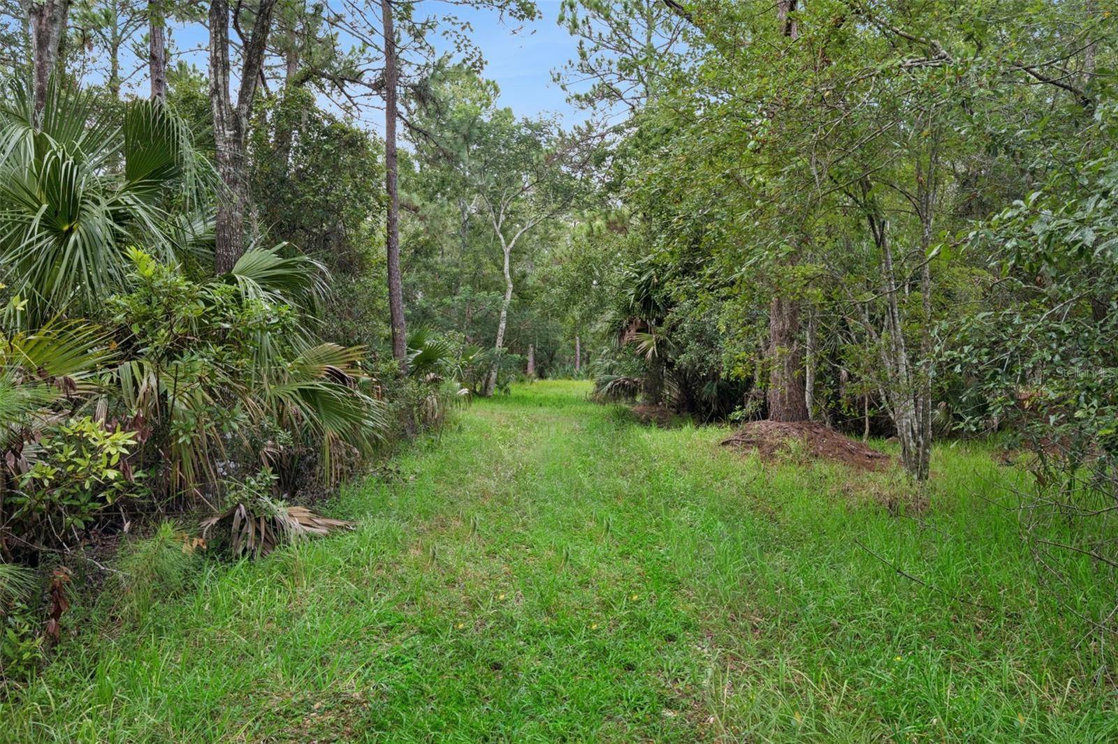 14133 LUND DR, Orlando, FL 32826