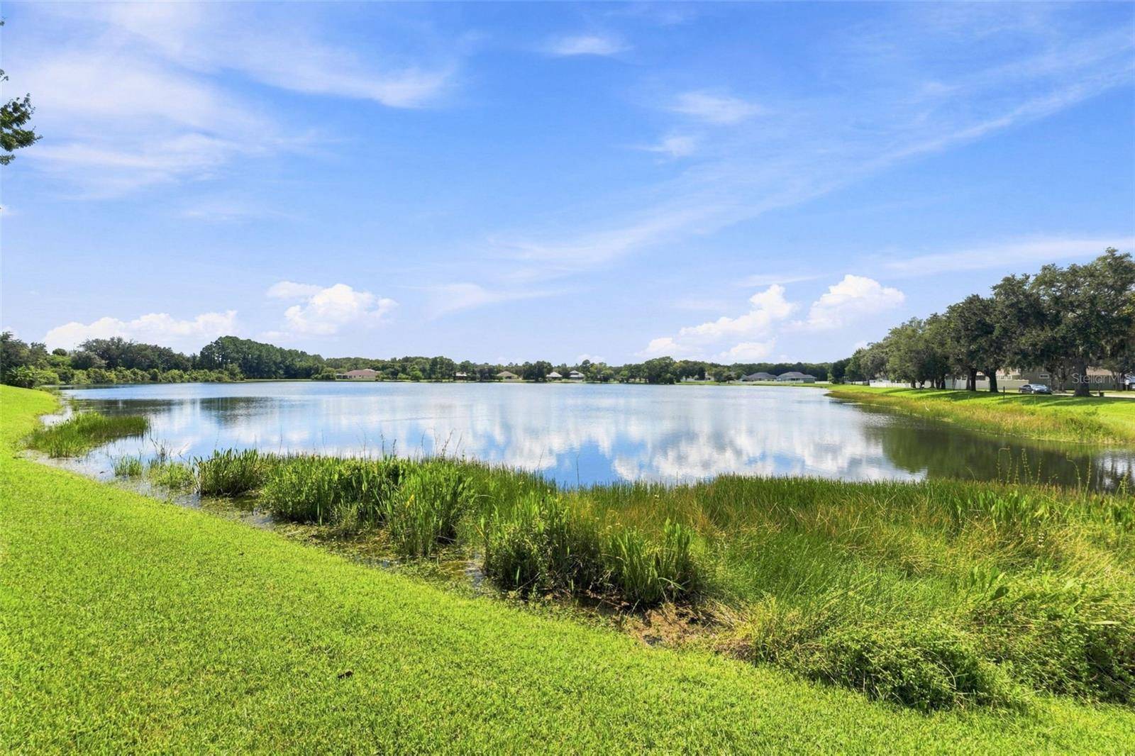 18022 LAKE REFLECTIONS BLVD, Lutz, FL 33558