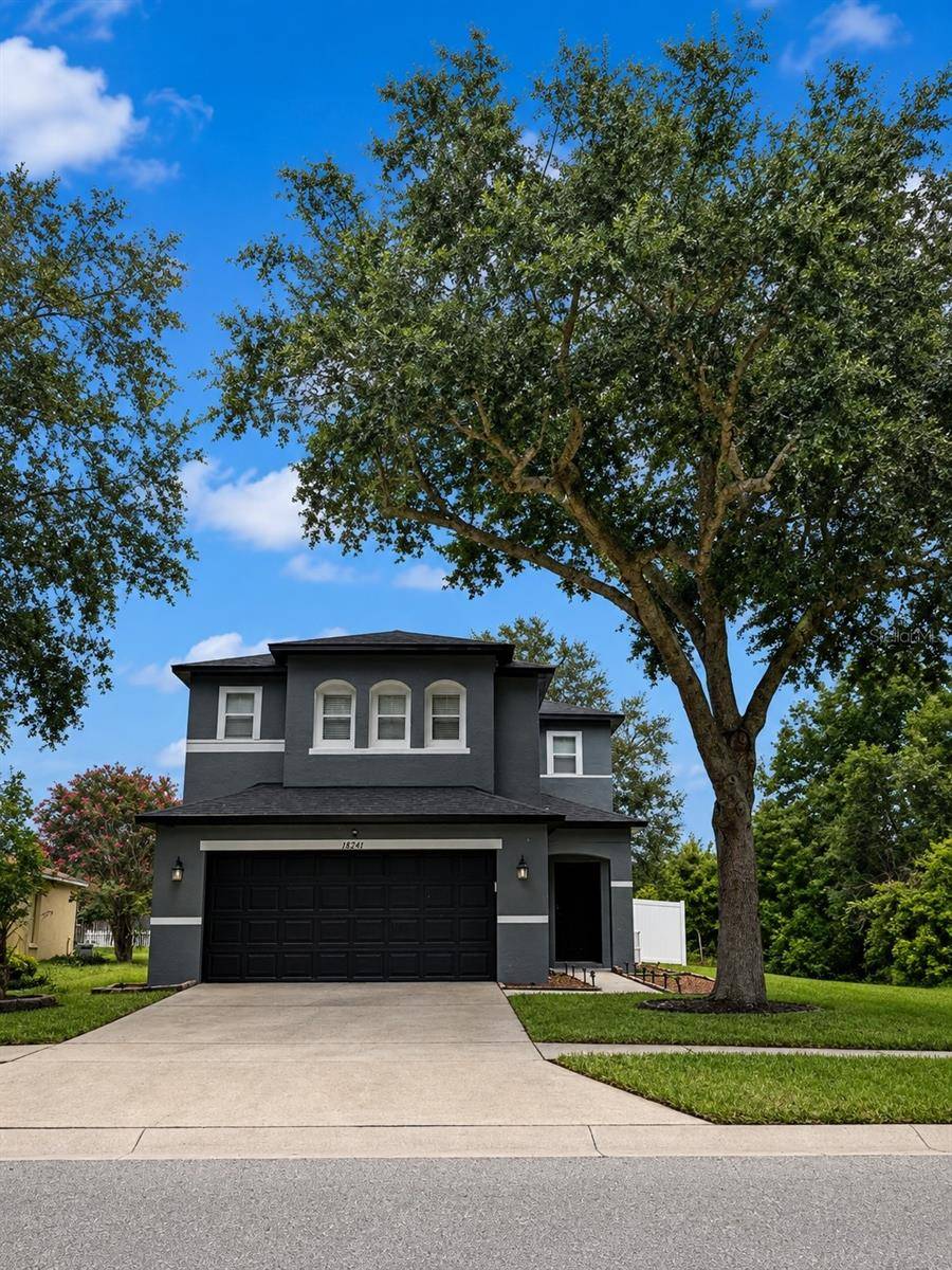 18941 SUNTERRA DR, Land O Lakes, FL 34638