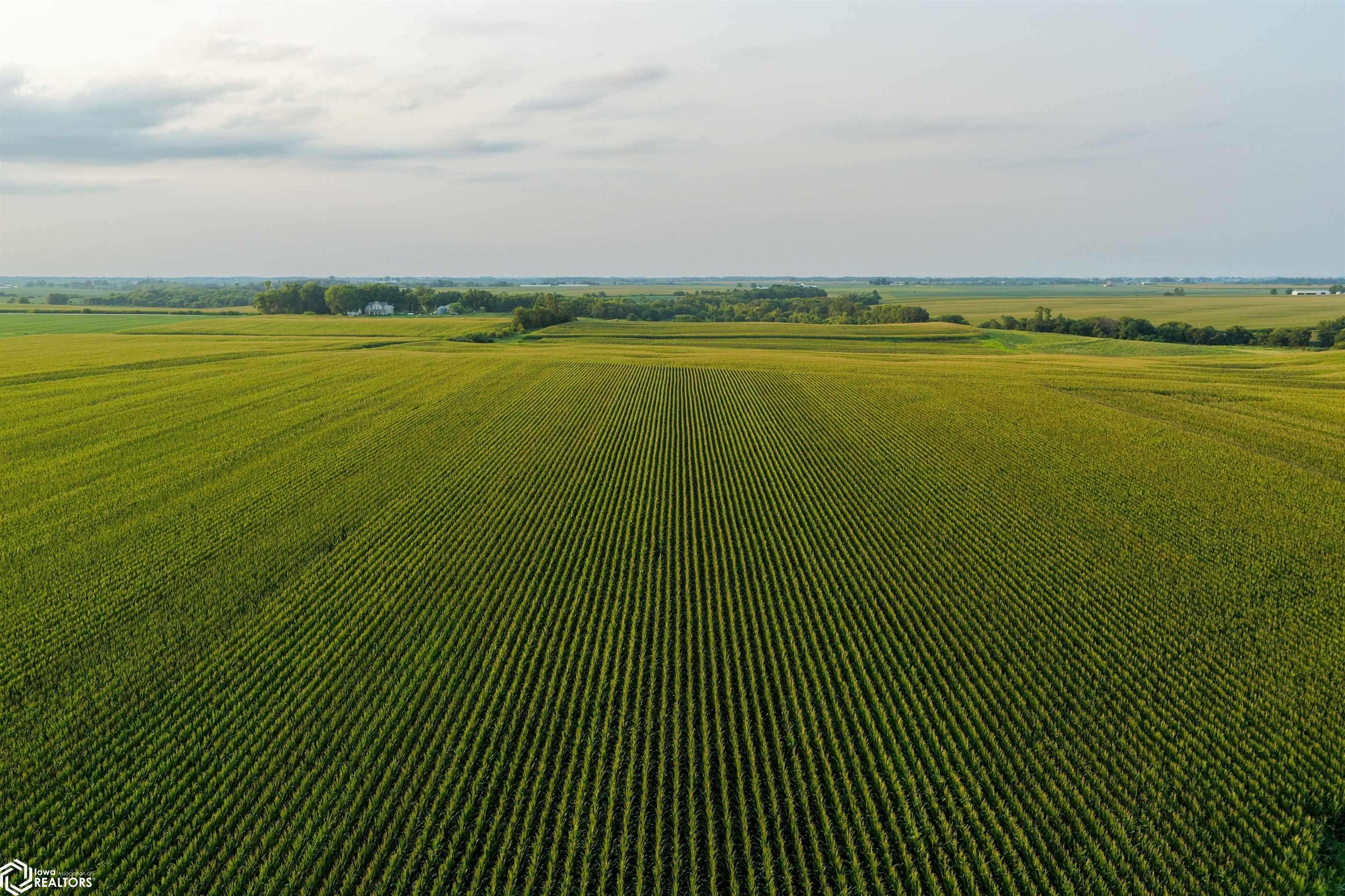 Highway 1, Washington, IA 52353