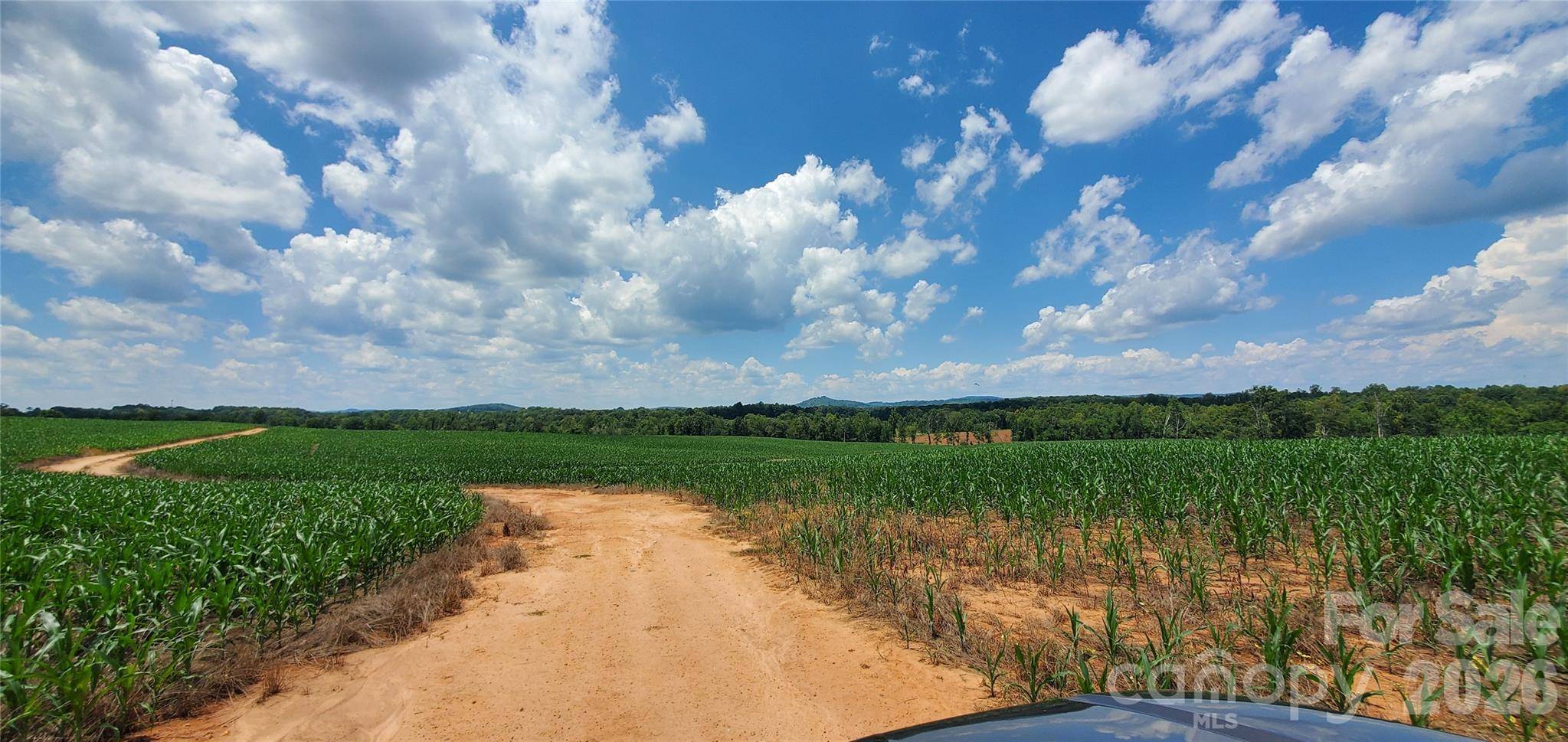 3641 US Highway 21 HWY, Hamptonville, NC 27020