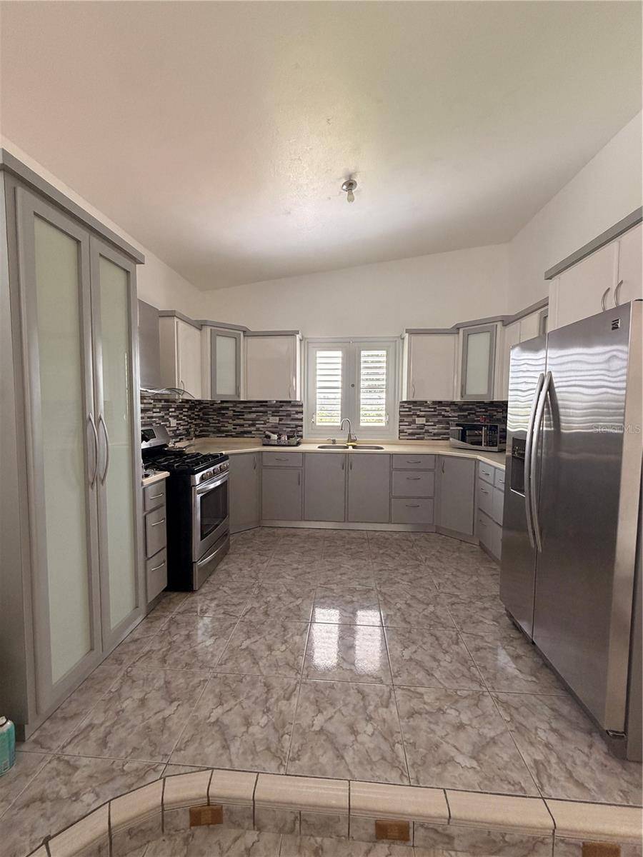 435 CALABAZA, San Sebastian, PR 00685