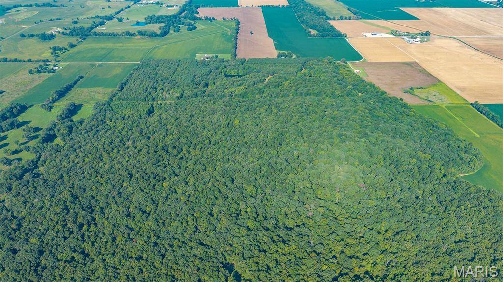 0 County Road 307, Advance, MO 63730