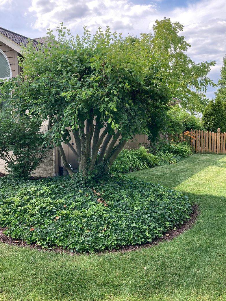 1223 Wales CT, Shorewood, IL 60404