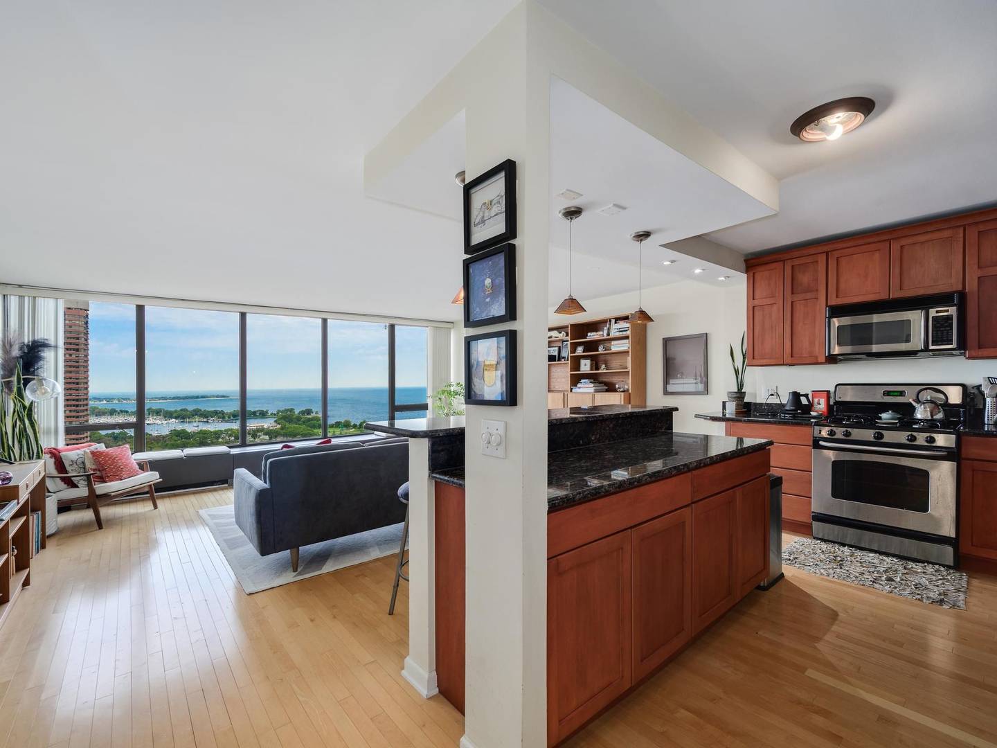 2800 N Lake Shore DR #2505, Chicago, IL 60657