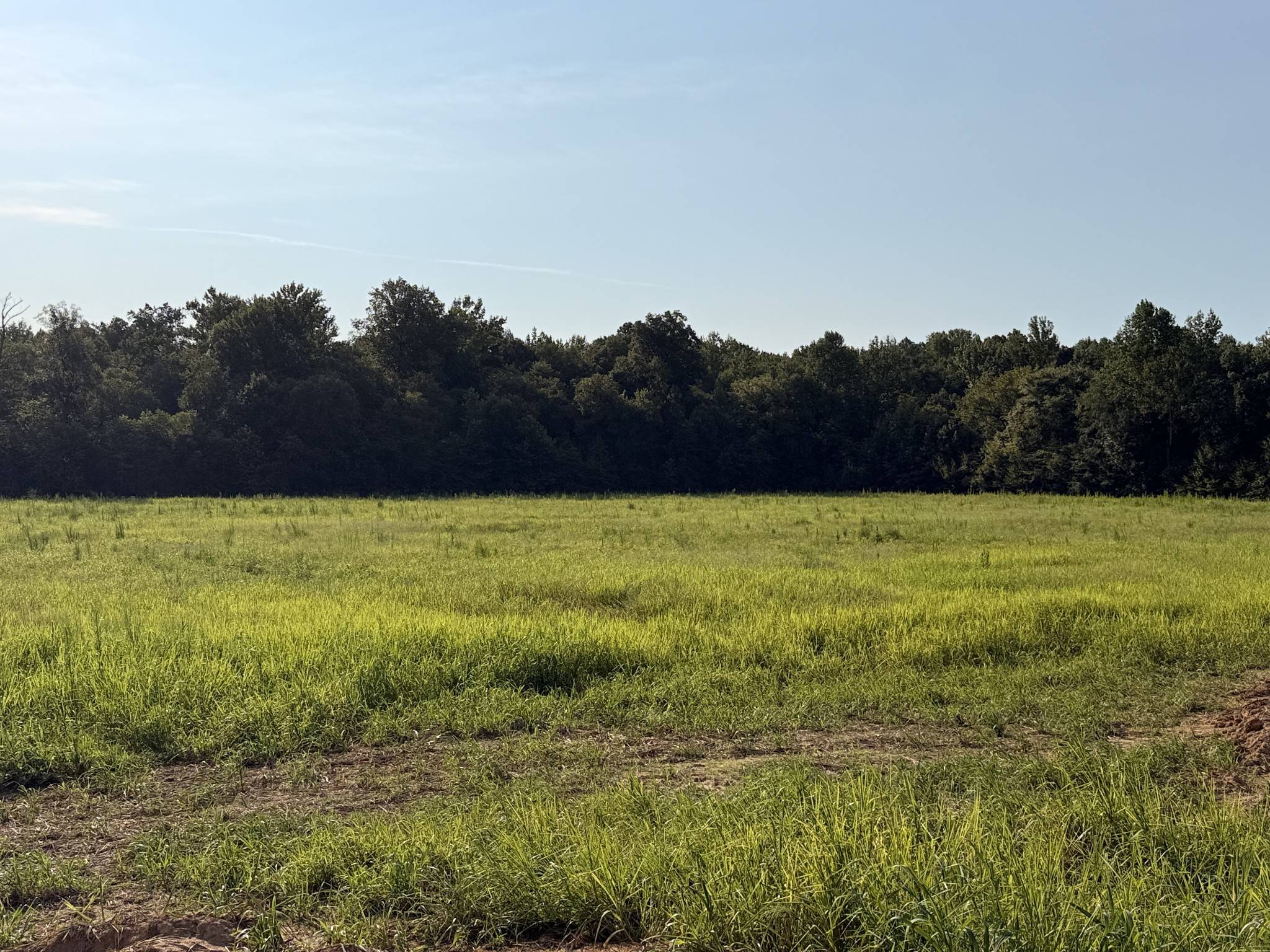 0 HWY 77, Paris, TN 38242
