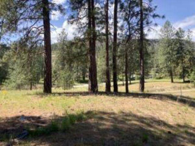 Lot 2 Kifer Spur Rd, Kettle Falls, WA 99141
