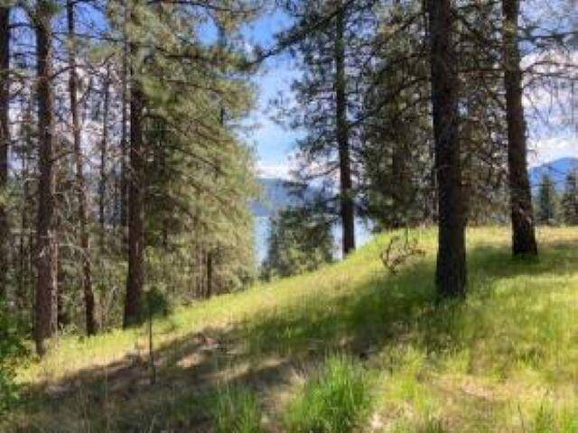 Lot 2 Kifer Spur Rd, Kettle Falls, WA 99141
