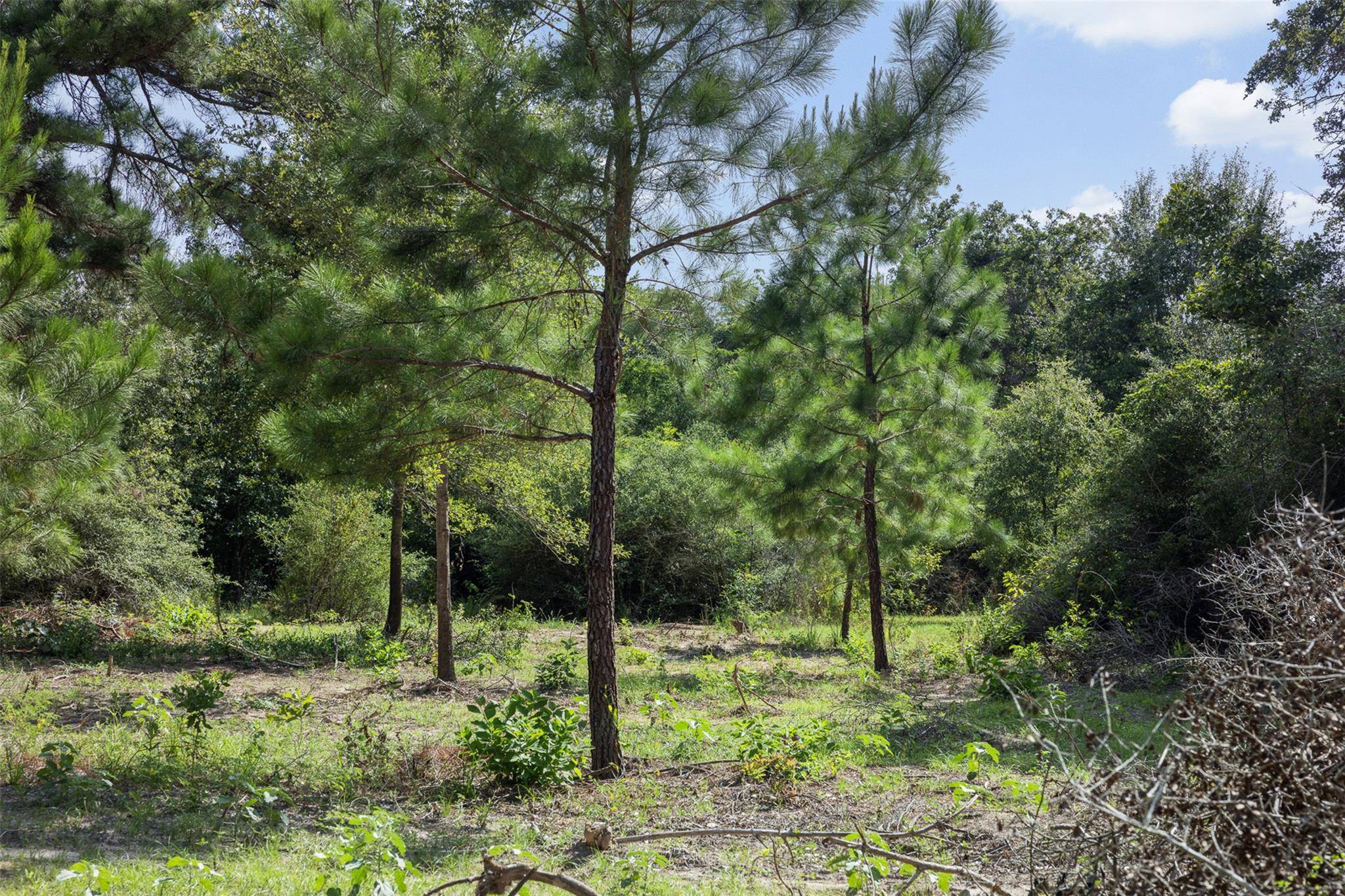 422 Private Road 7051 RD, Milano, TX 76556