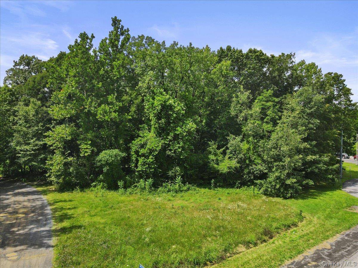 Beckrick DR, Rhinebeck, NY 12572