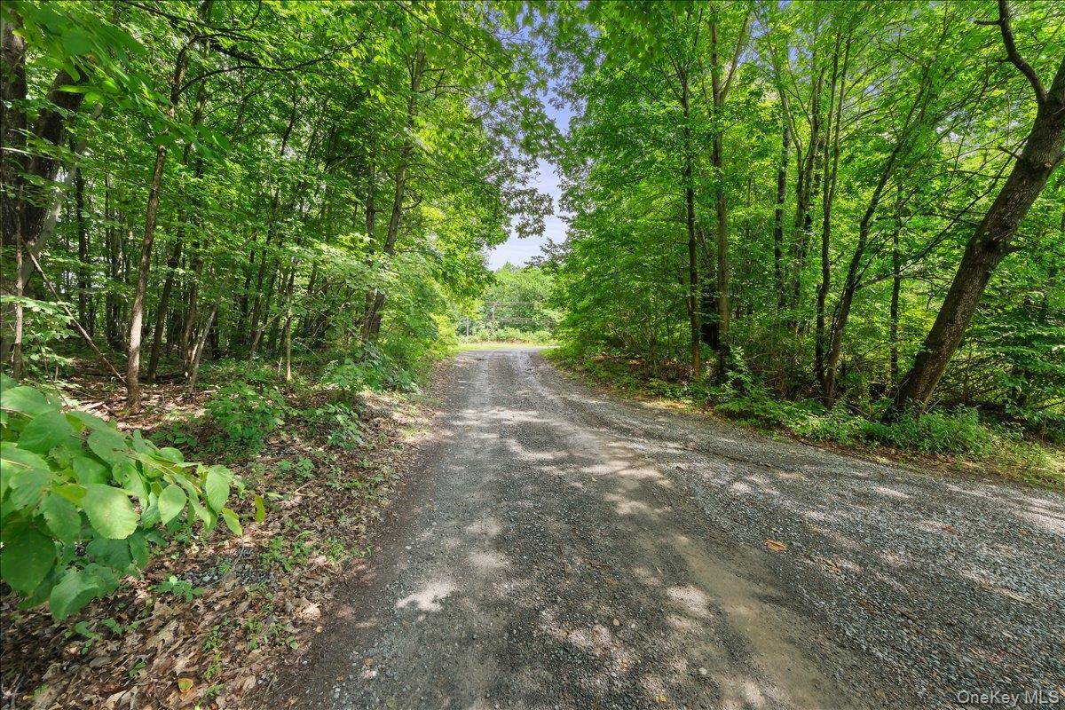 Beckrick DR, Rhinebeck, NY 12572