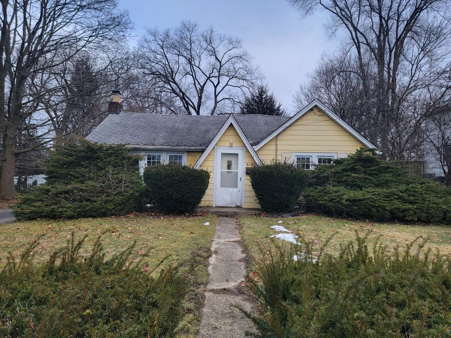 319 N Prospect ST, Wheaton, IL 60187