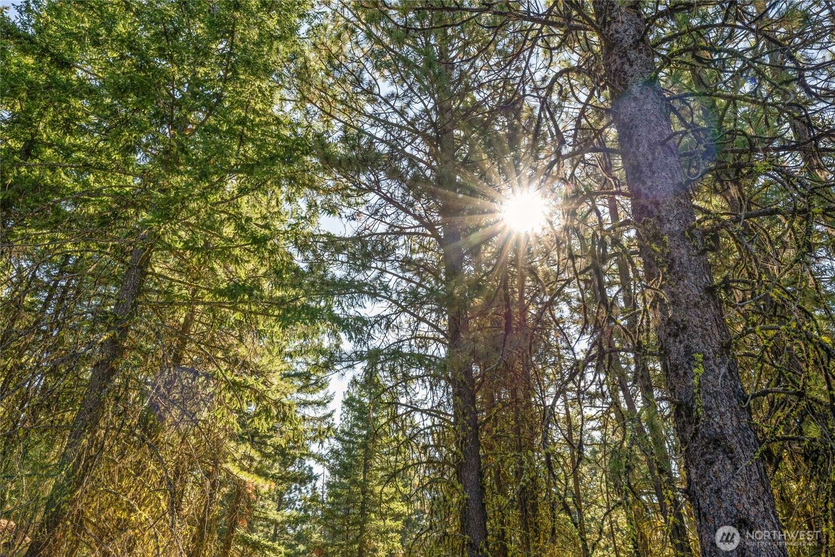 330 Eagle RD, Cle Elum, WA 98922