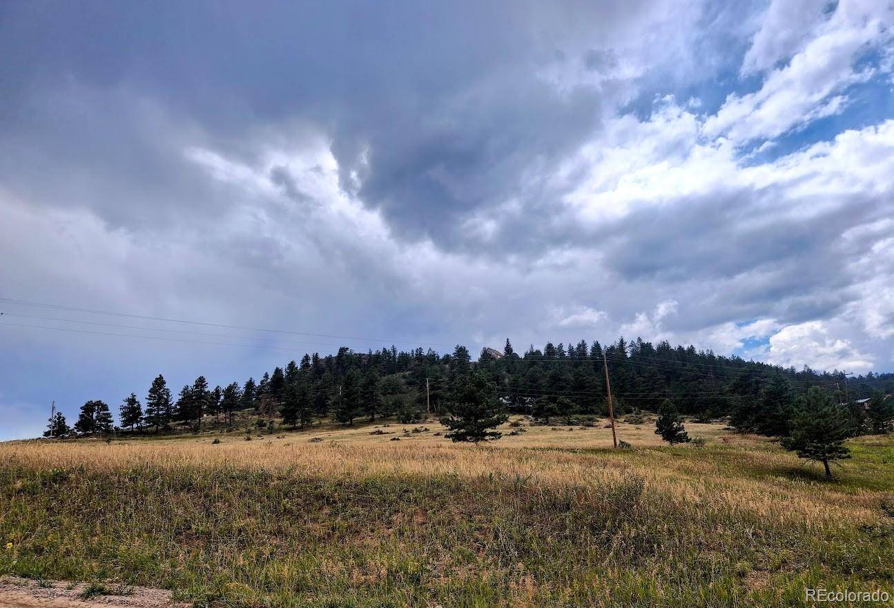 609 Eiger RD, Livermore, CO 80536