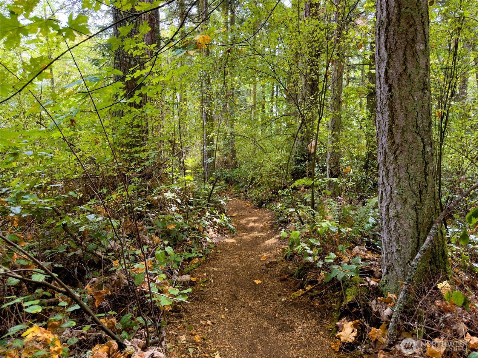2197 Parker RD, Camano Island, WA 98282