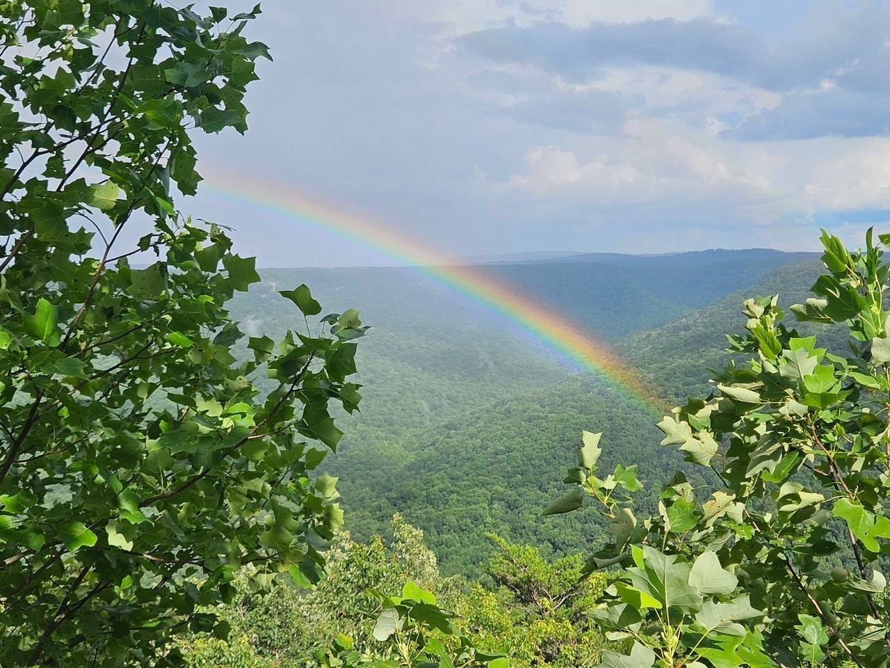 0 Grassy Ridge Rd Lot 4, Beersheba Springs, TN 37305