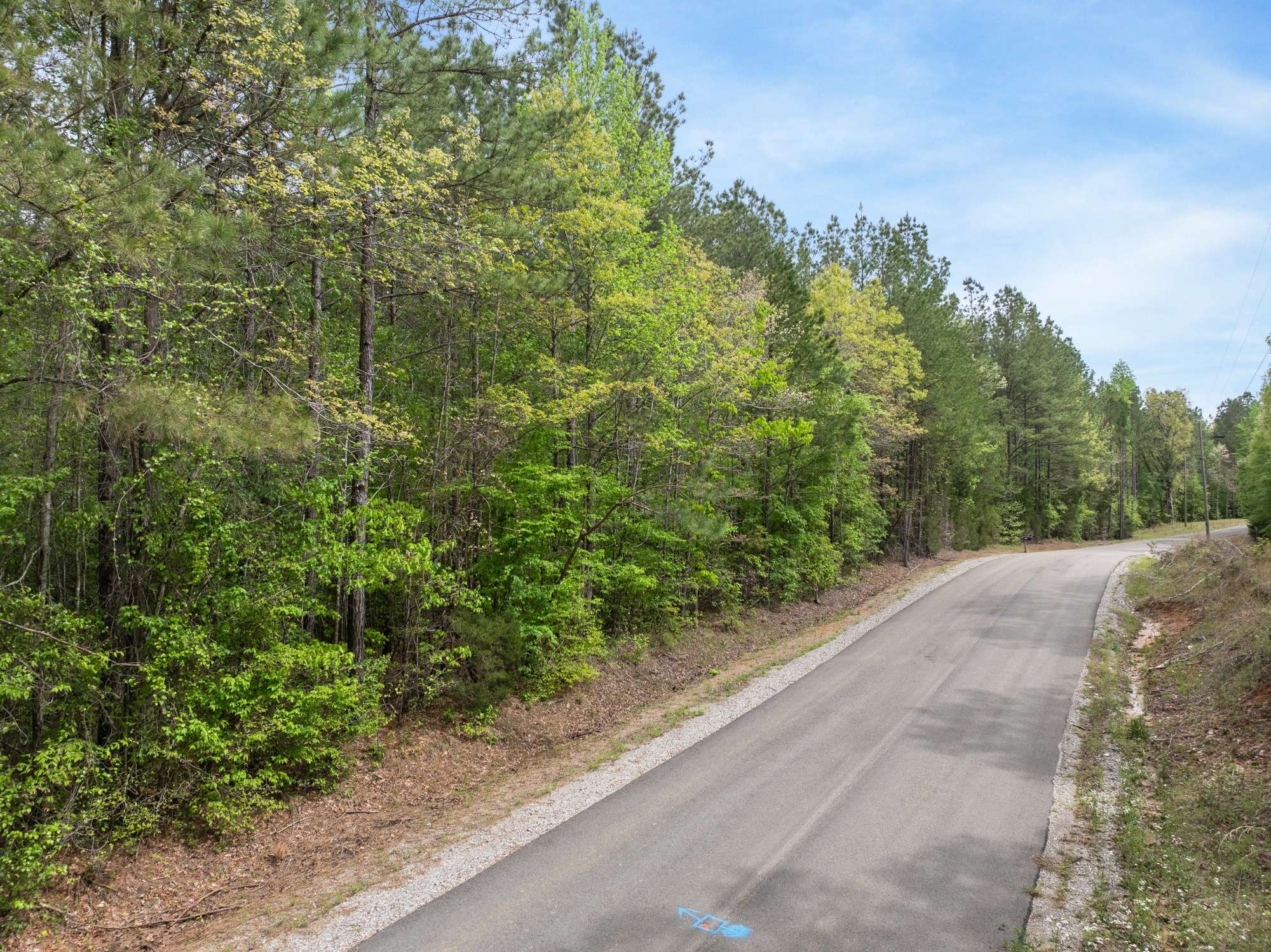 0 Curtis Hill Church Rd, Bethel Springs, TN 38315
