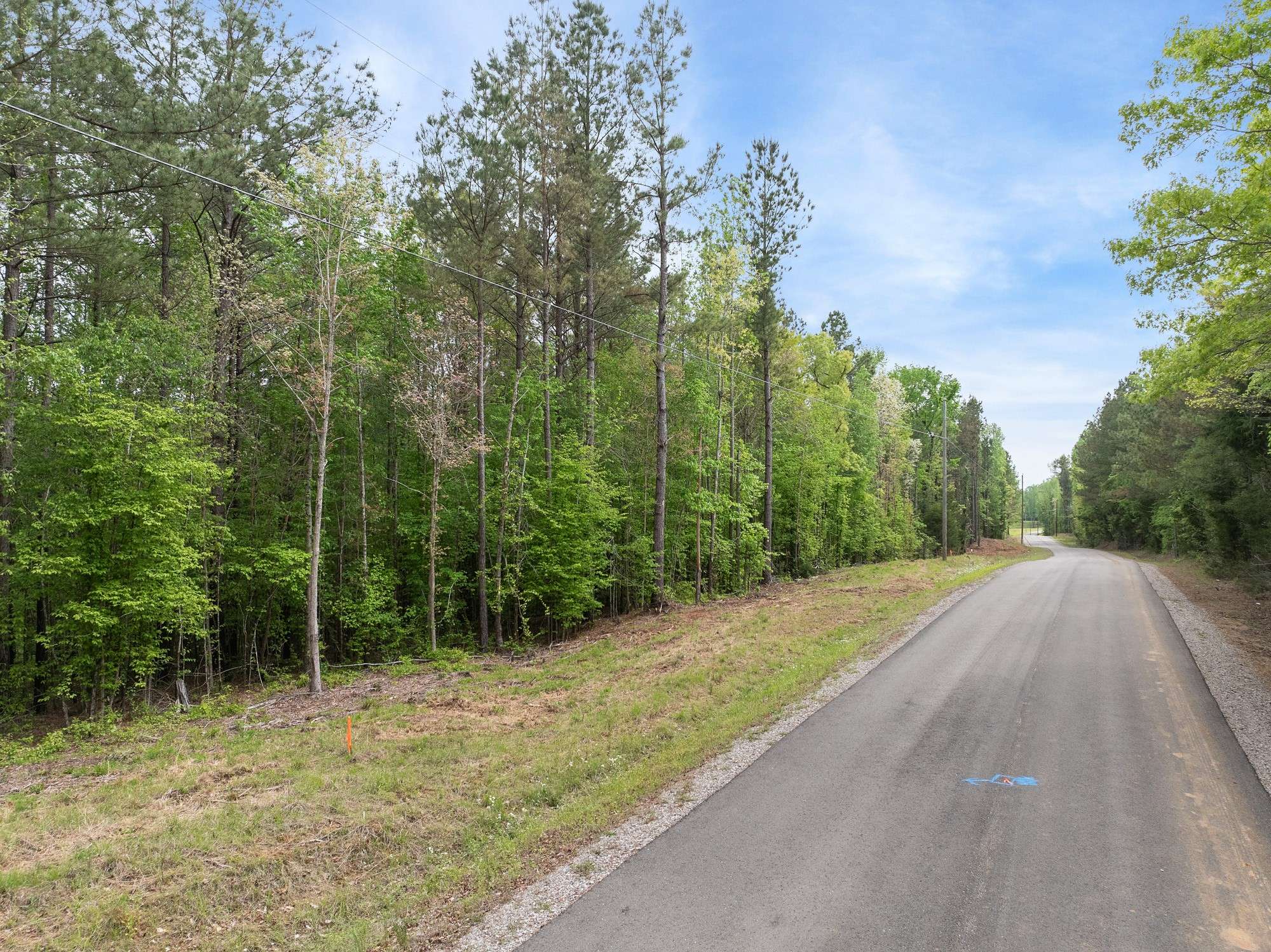 0 Curtis Hill Church Rd, Bethel Springs, TN 38315