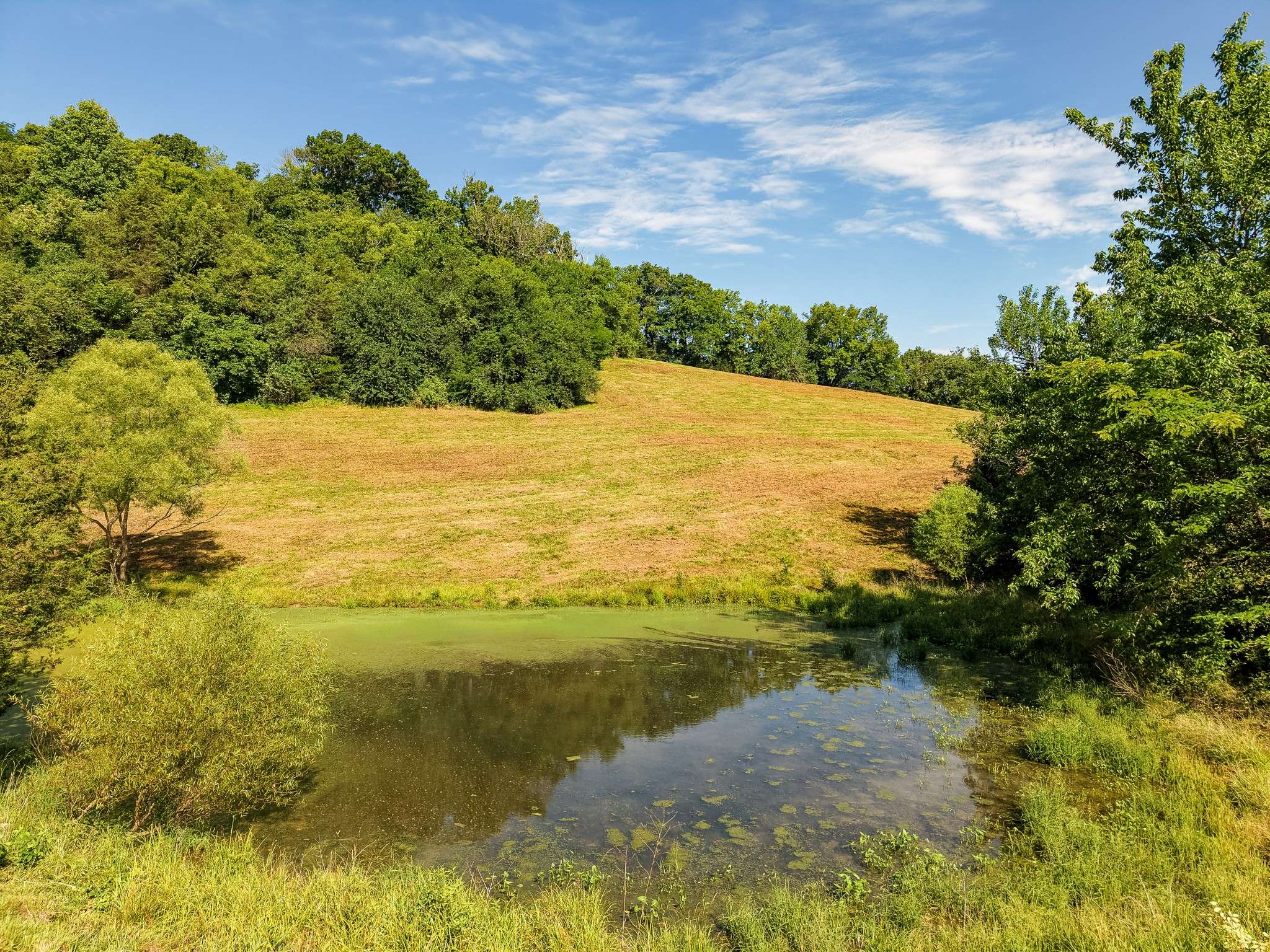 0 P Davis Rd, Auburntown, TN 37016