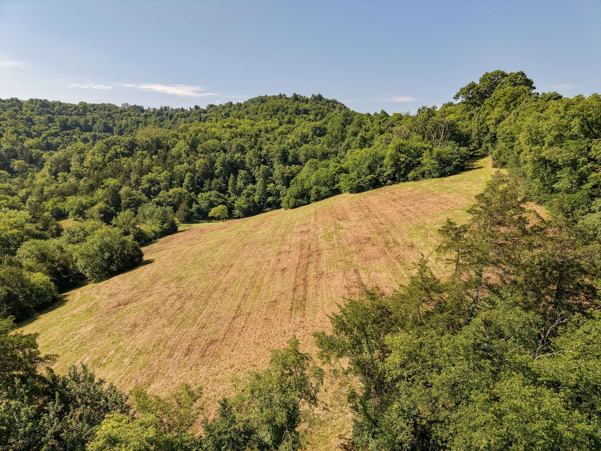 0 P Davis Rd, Auburntown, TN 37016