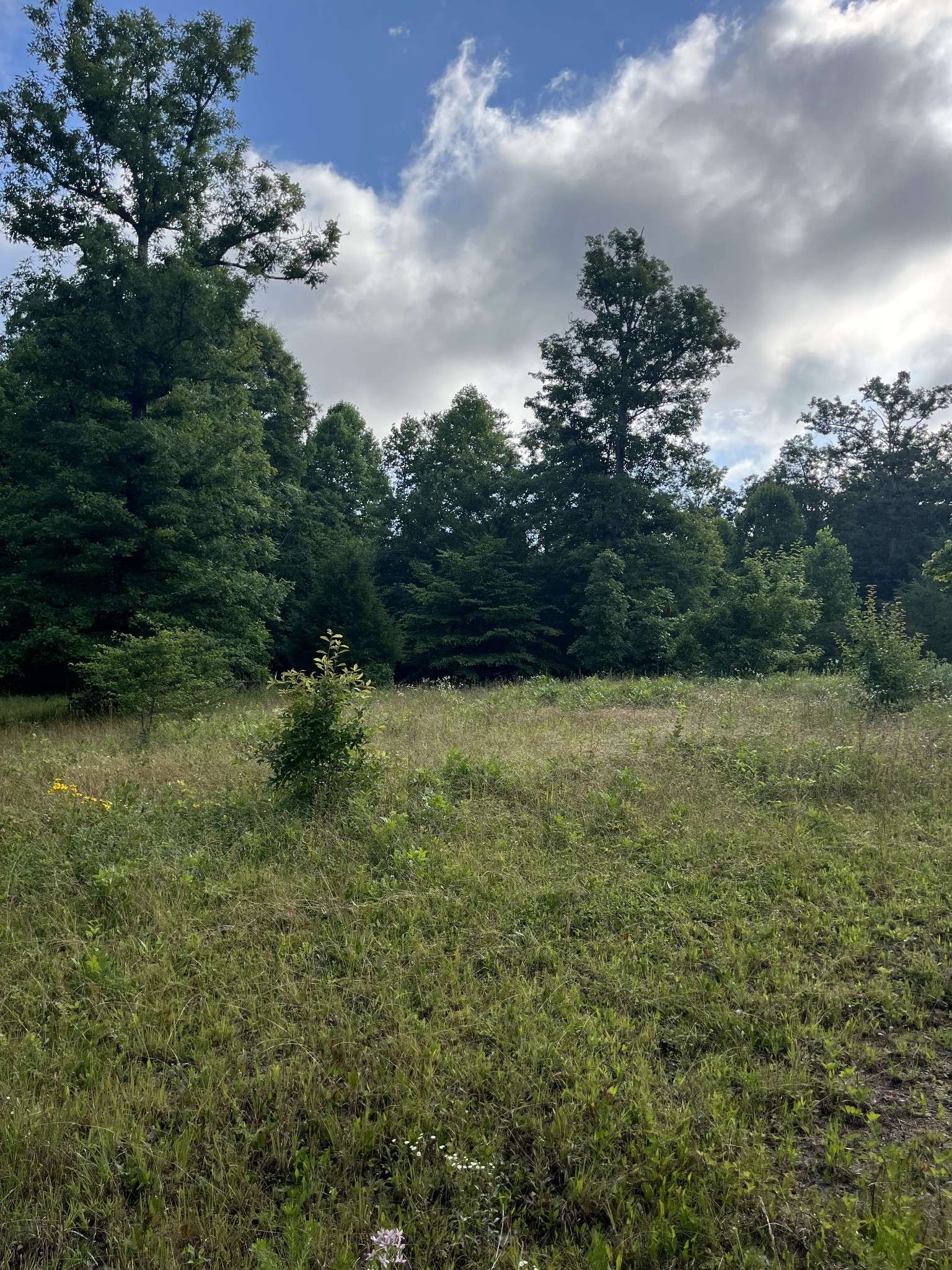 0 Henley Drive, Altamont, TN 37301