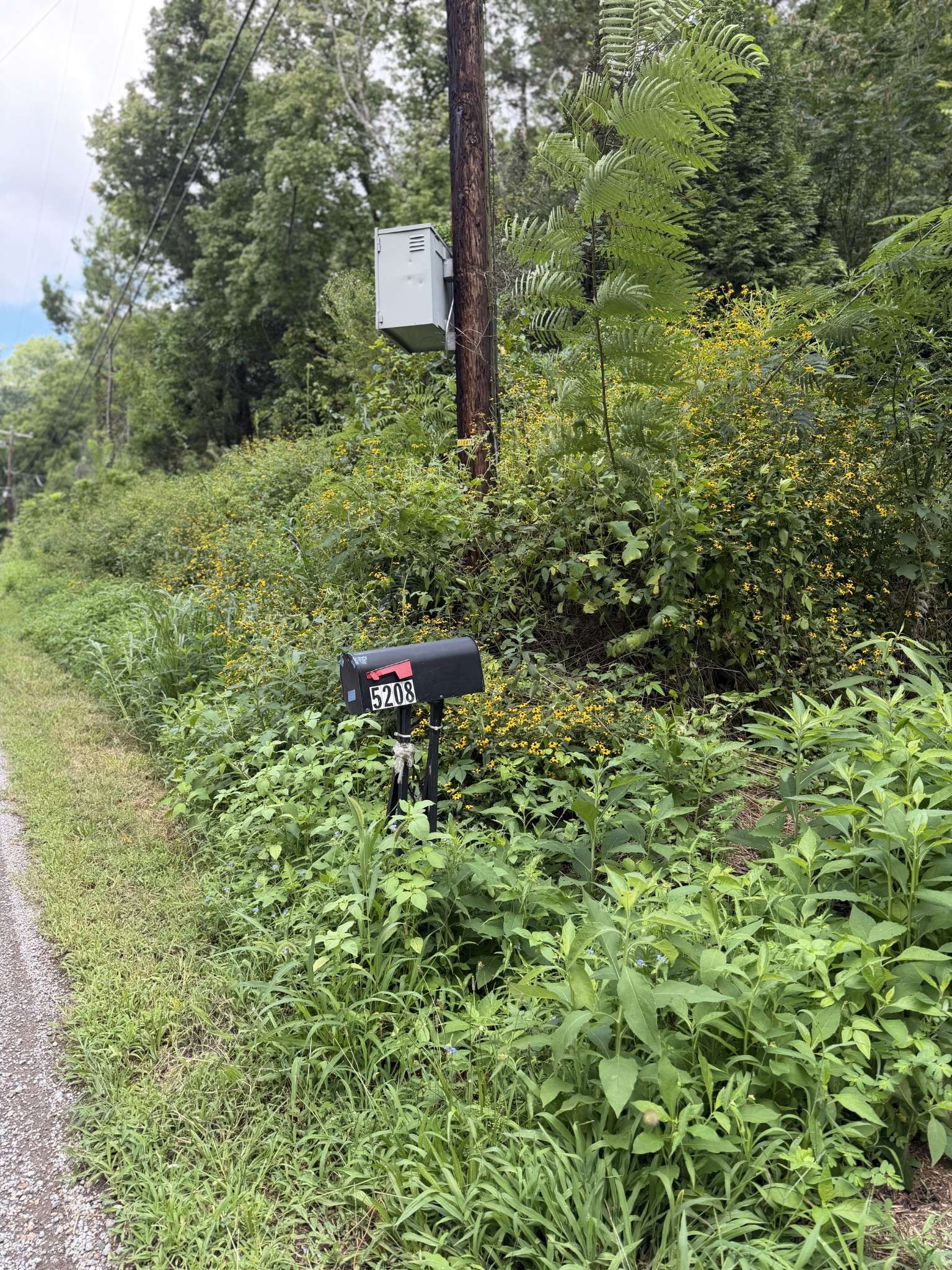 5208 Little Marrowbone Rd, Ashland City, TN 37015