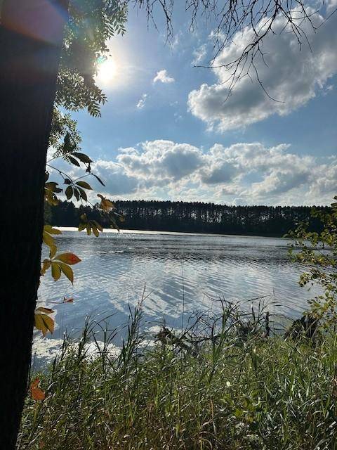 1151 Birchwood LN, Amery, WI 54001