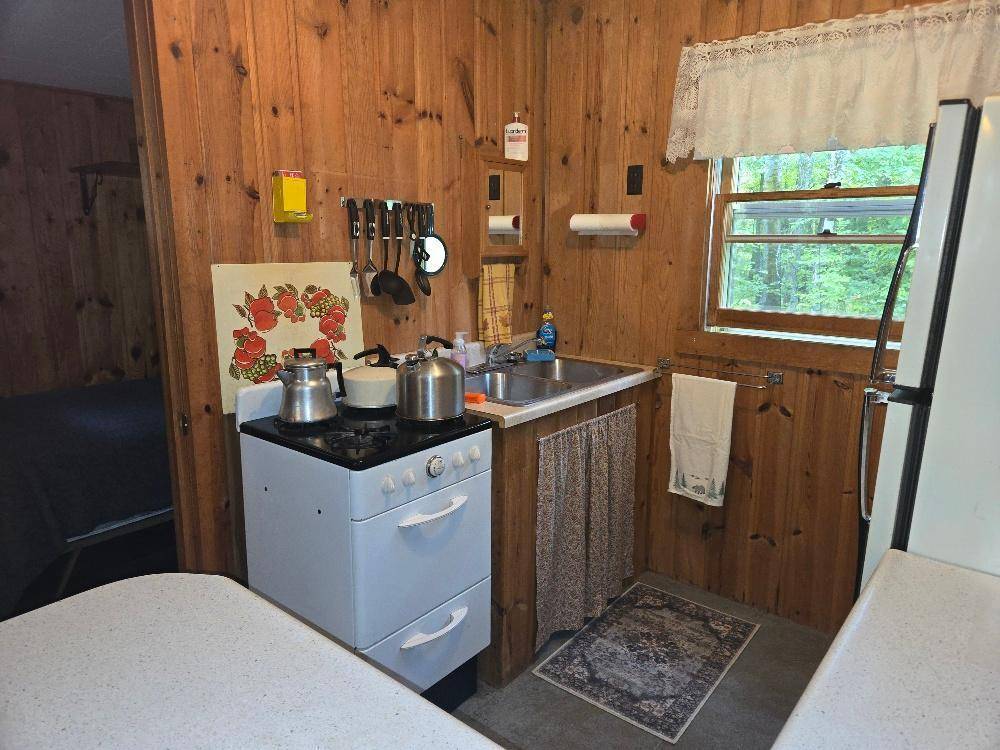 40592 County Road 343, Balsam Twp, MN 55709