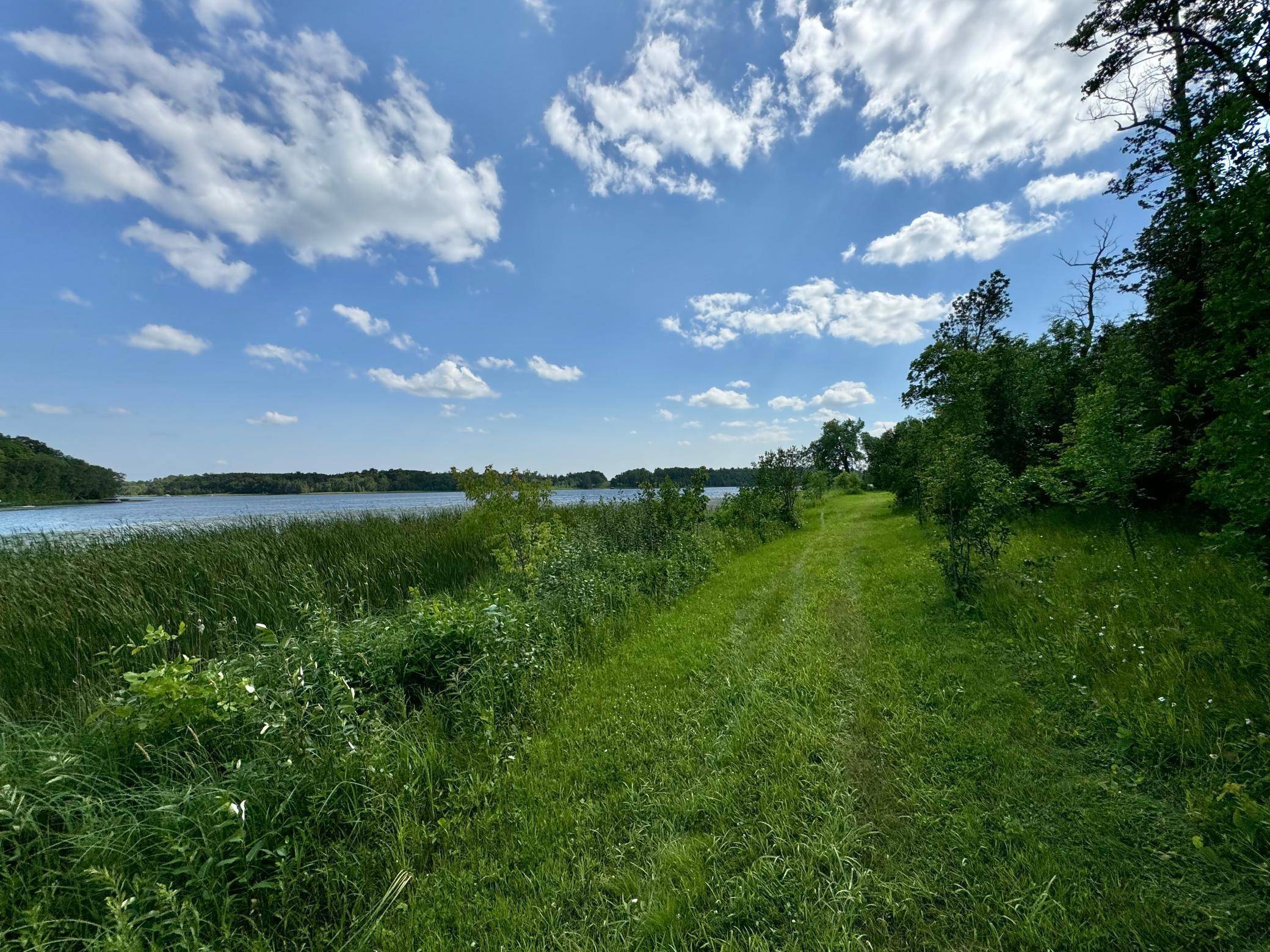 290XX N Buffalo Lake Rd E, Callaway, MN 56521