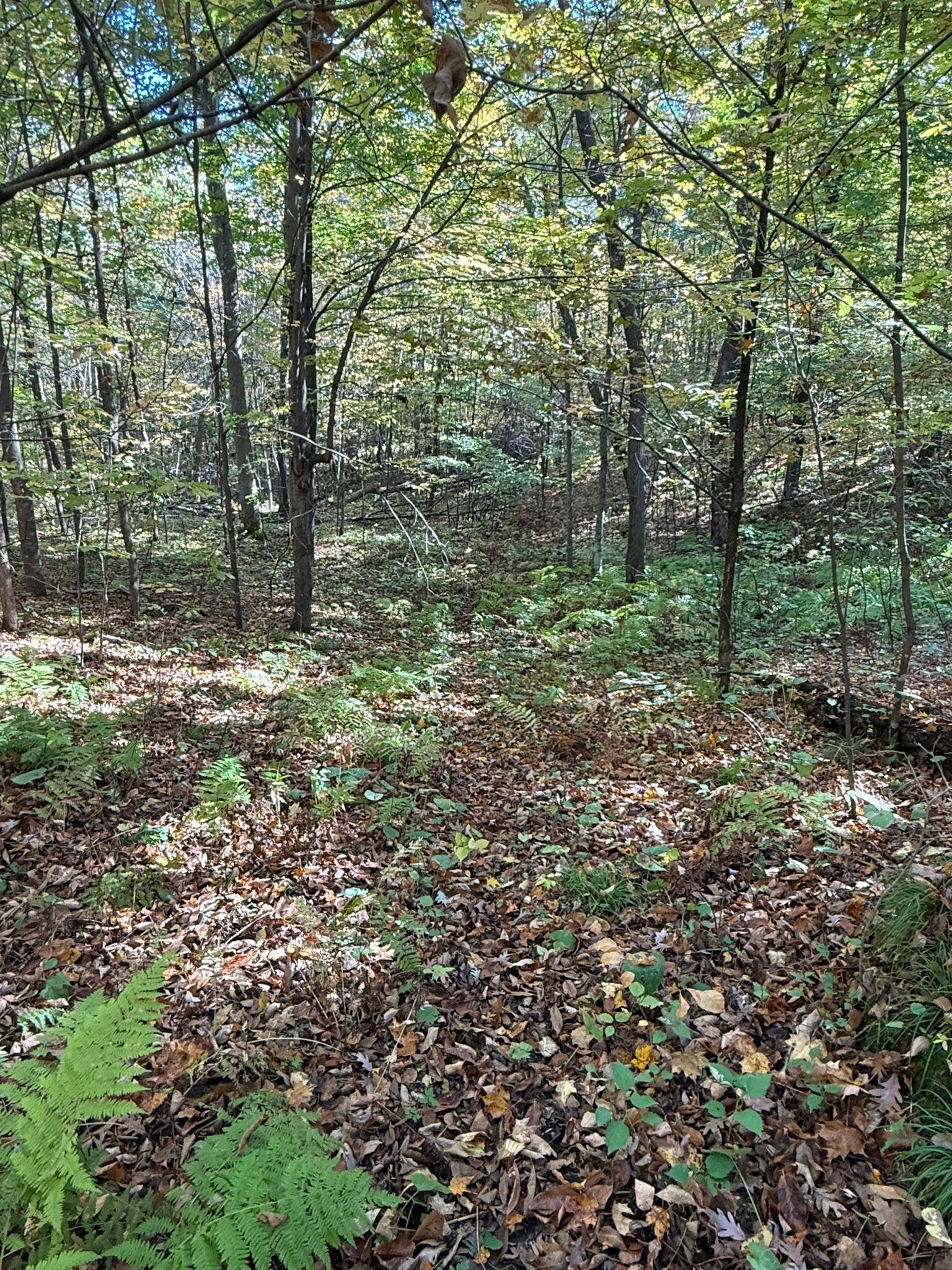 TBD Hwy 8, Beaver Twp, WI 54889