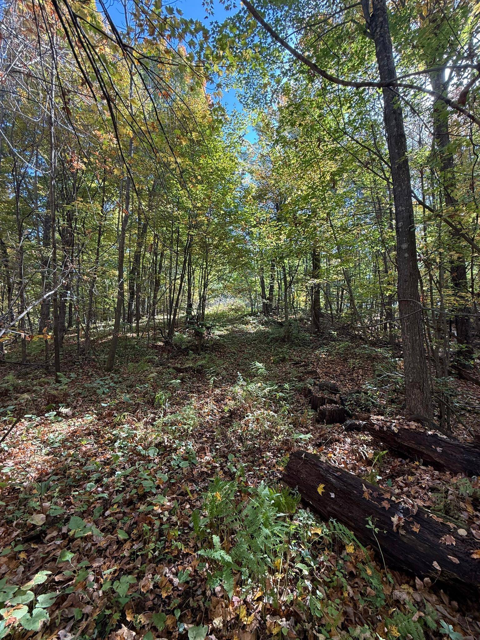 TBD Hwy 8, Beaver Twp, WI 54889