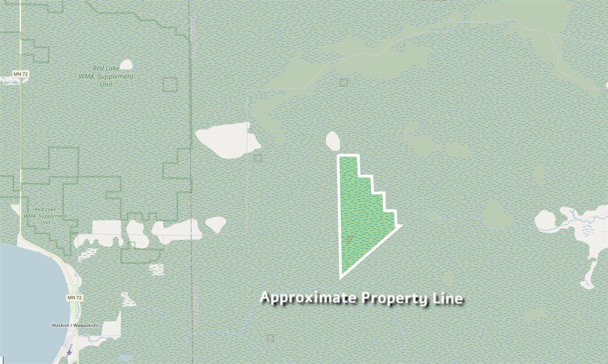XXX 1262ac Pine Island State Forest, Big Falls, MN 56627