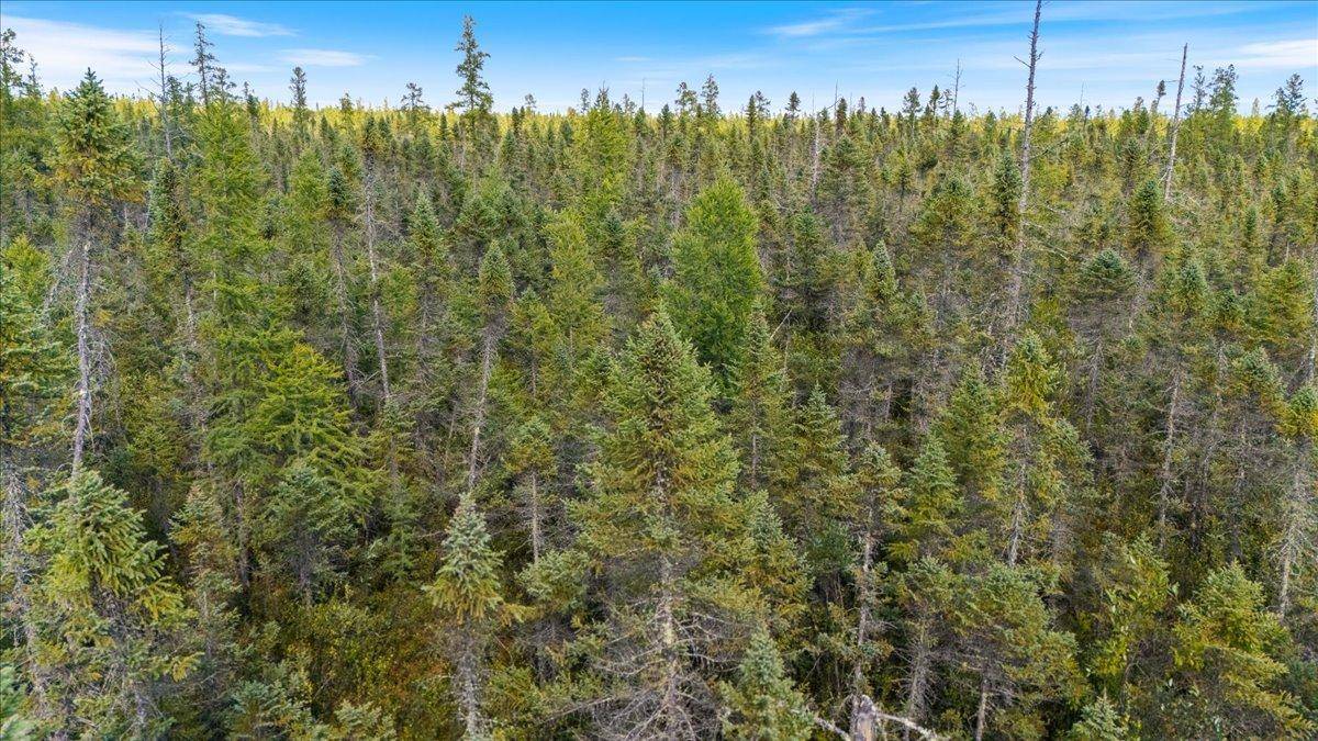 XXX 1262ac Pine Island State Forest, Big Falls, MN 56627