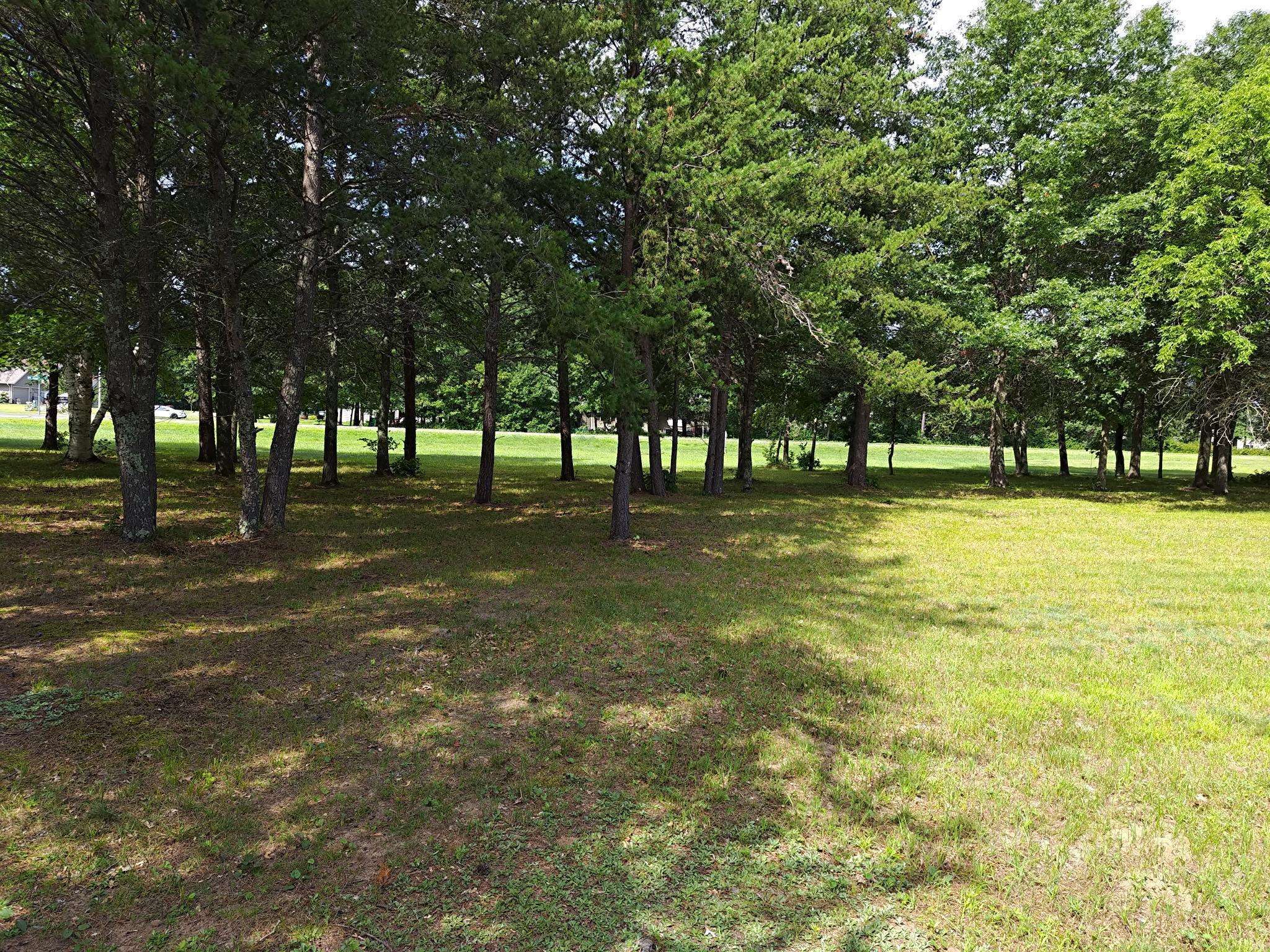 TBD Jasperwood/Marble, Baxter, MN 56425