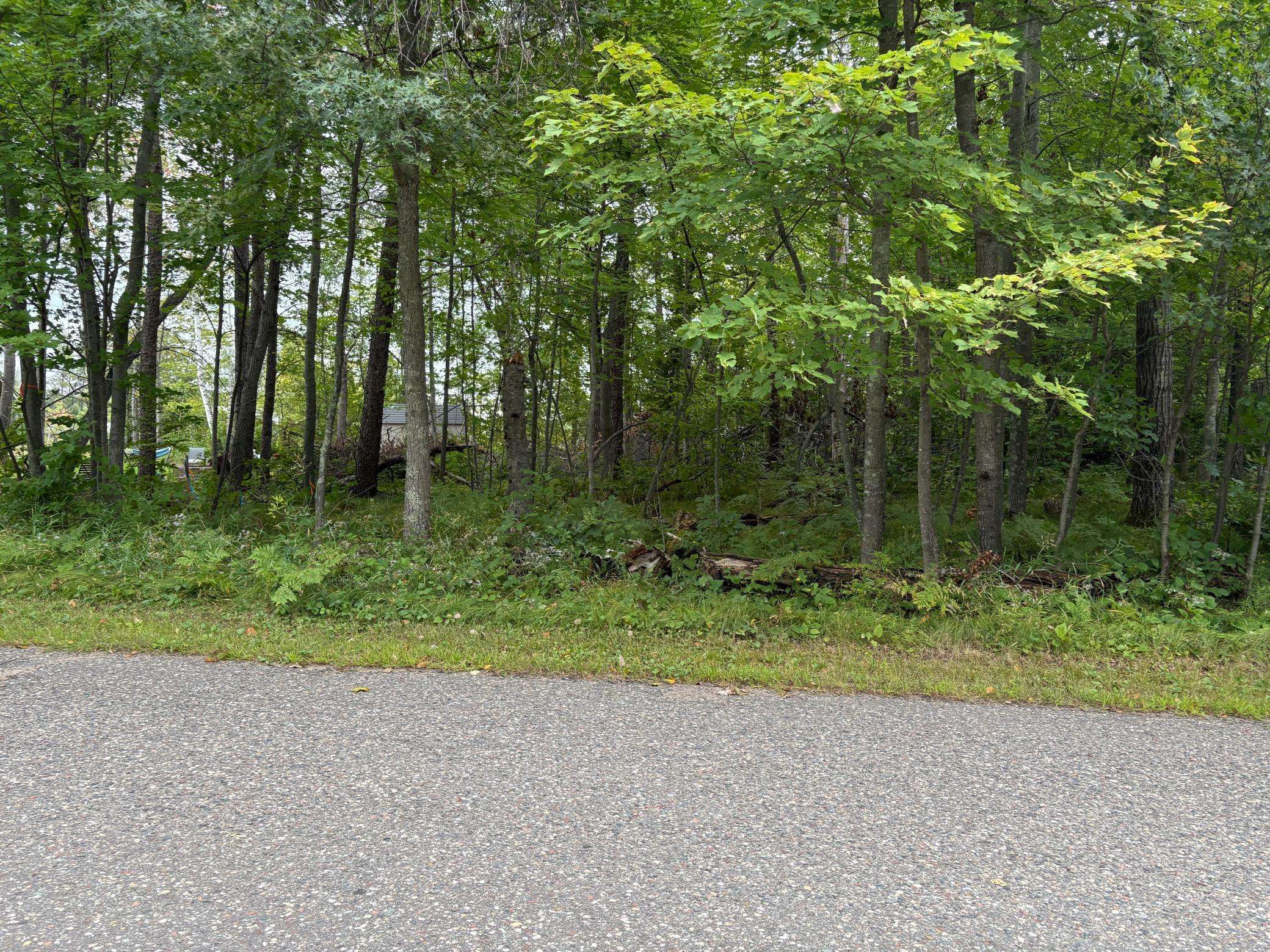 TBD Lots 111 & 112 Terminal RD, Breezy Point, MN 56472