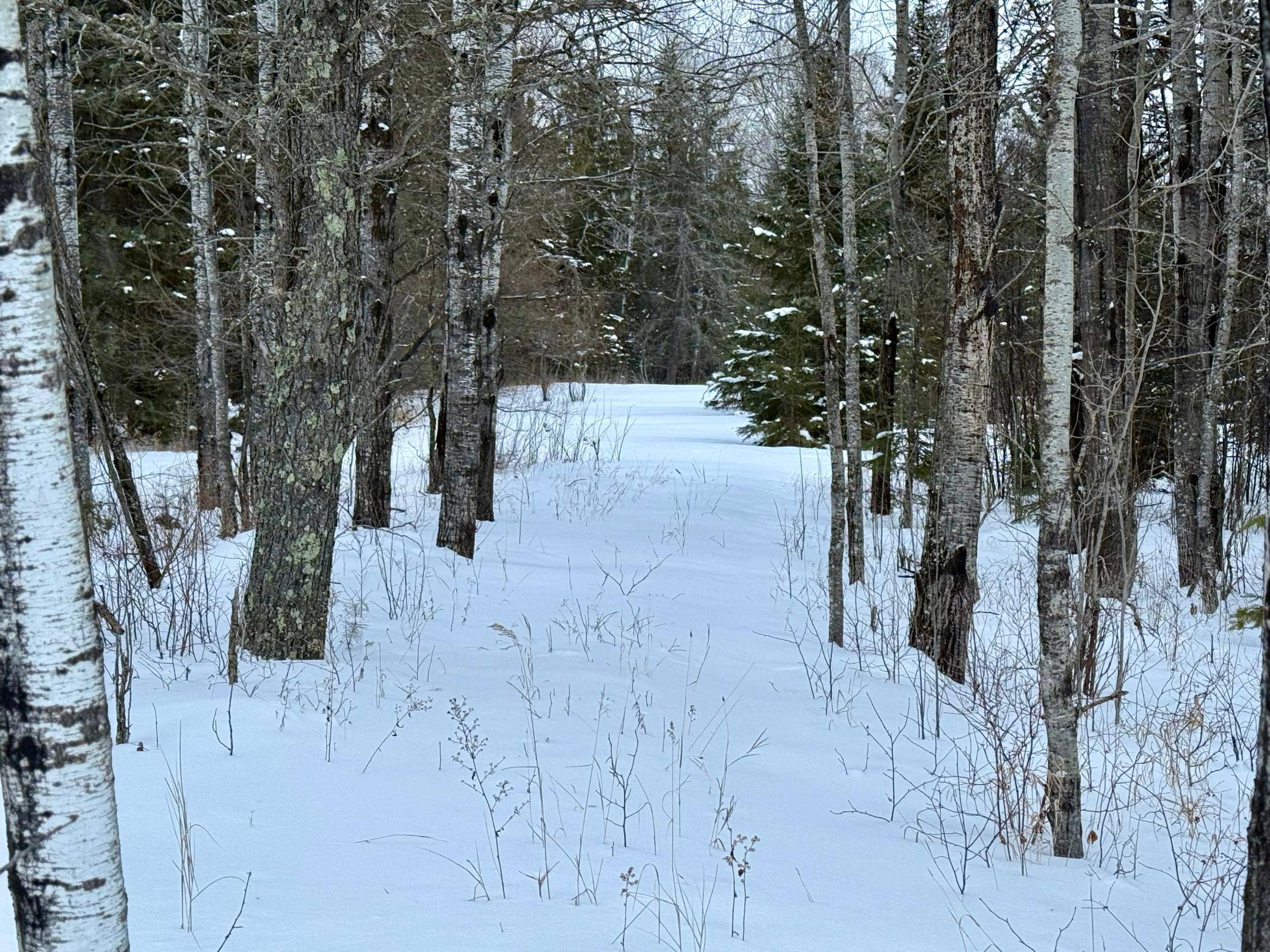 TBD Samuelson RD, Angora, MN 55703