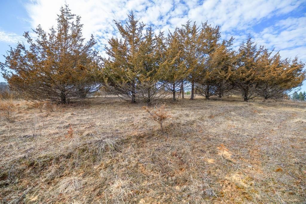 5131 Trading Post TRL S, Afton, MN 55001