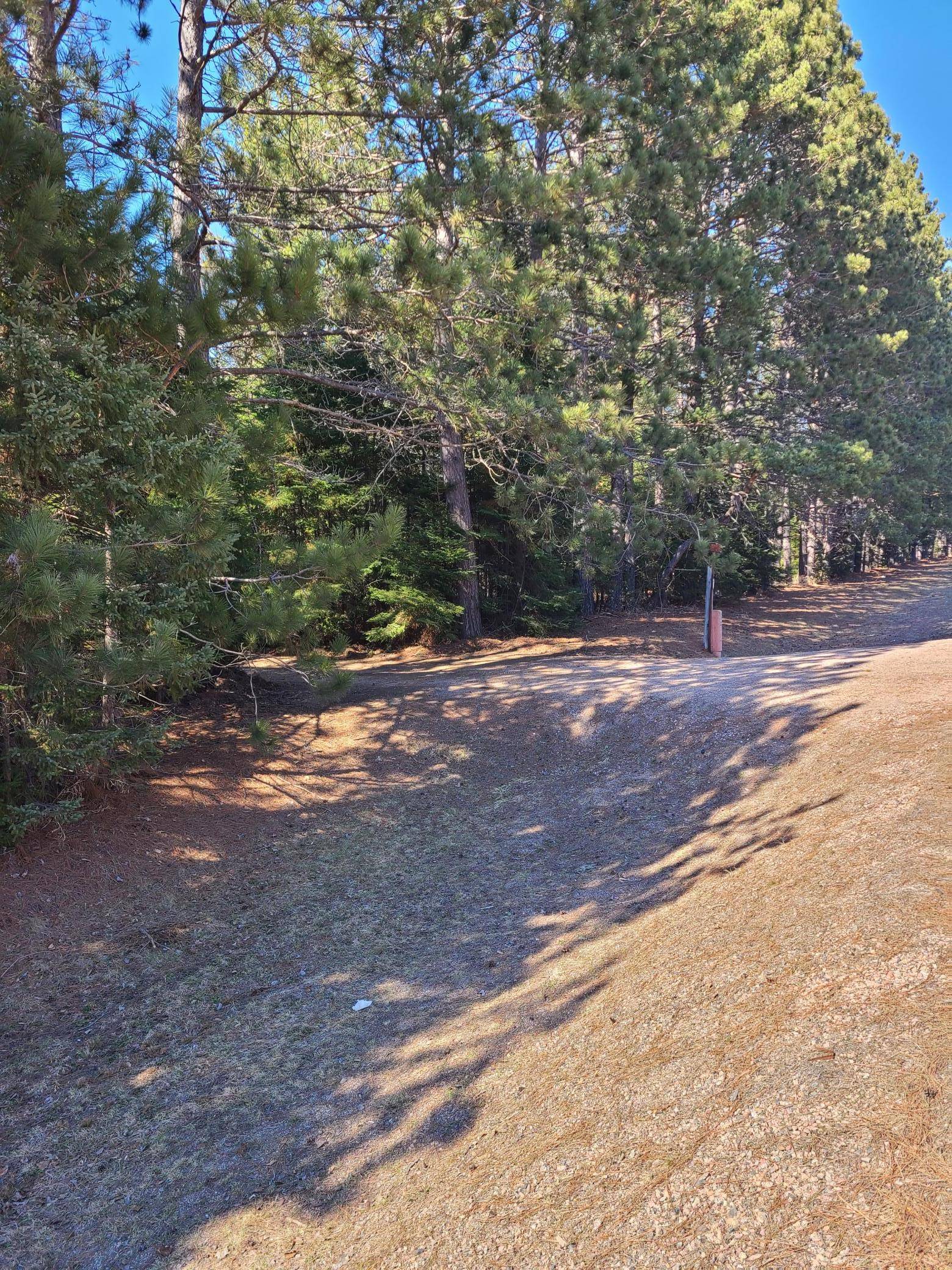 3121 Highway 21, Babbitt, MN 55706