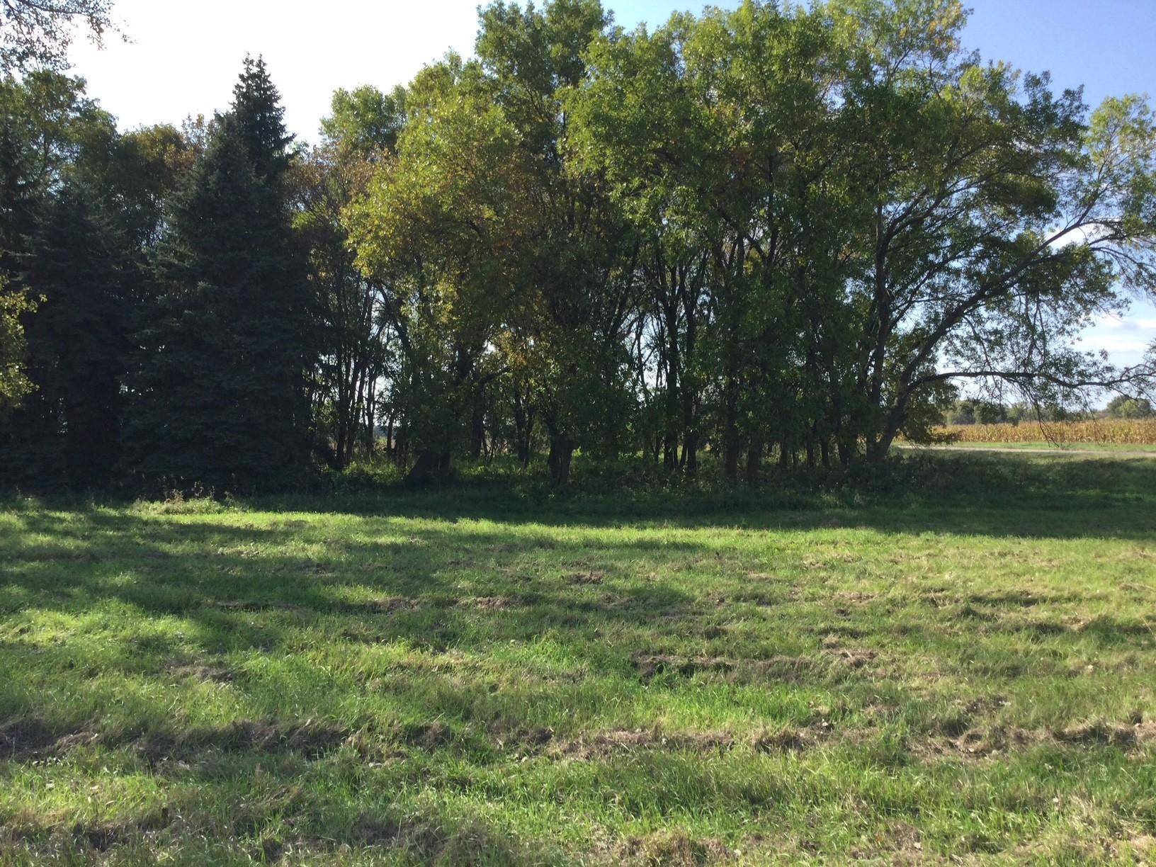 2029 210th AVE, Canby, MN 56220
