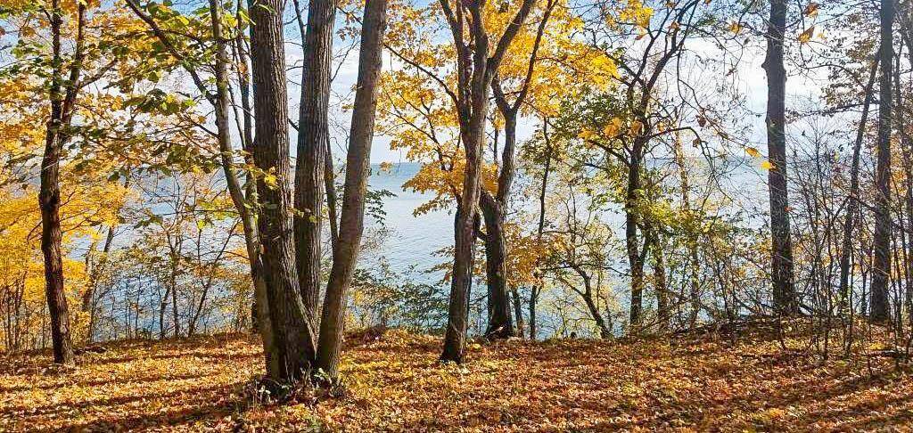 TBD Lot 19 Ni Gig Trail, Cass Lake, MN 56633