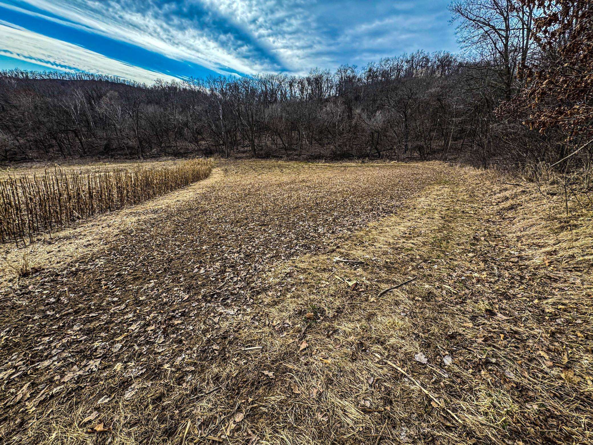 0 Theurer LN, Arcadia, WI 54612