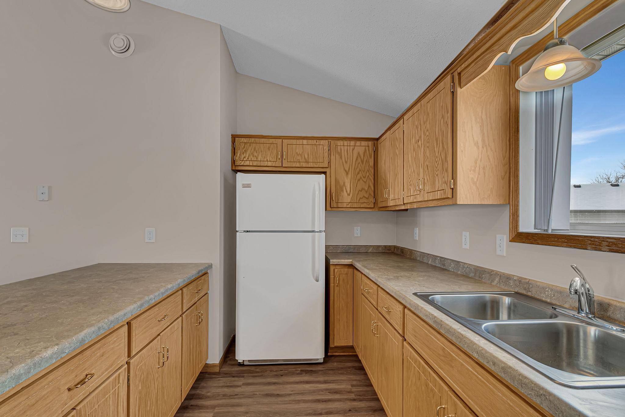 206 Appaloosa CT, Braham, MN 55006